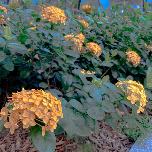 【雙瞳見我亦不同】9.30 ep1
阿甘①