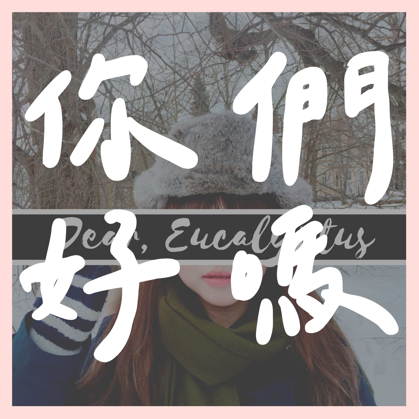親愛的，尤加利葉