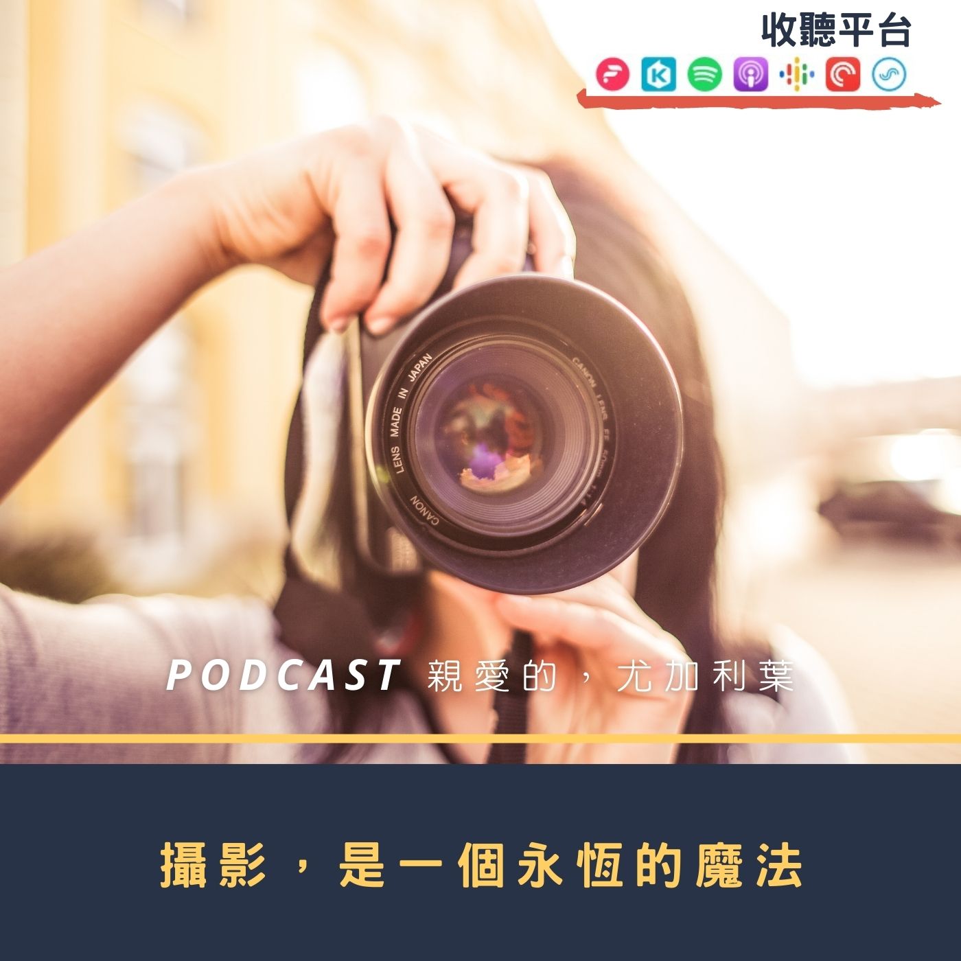 親愛的，尤加利葉