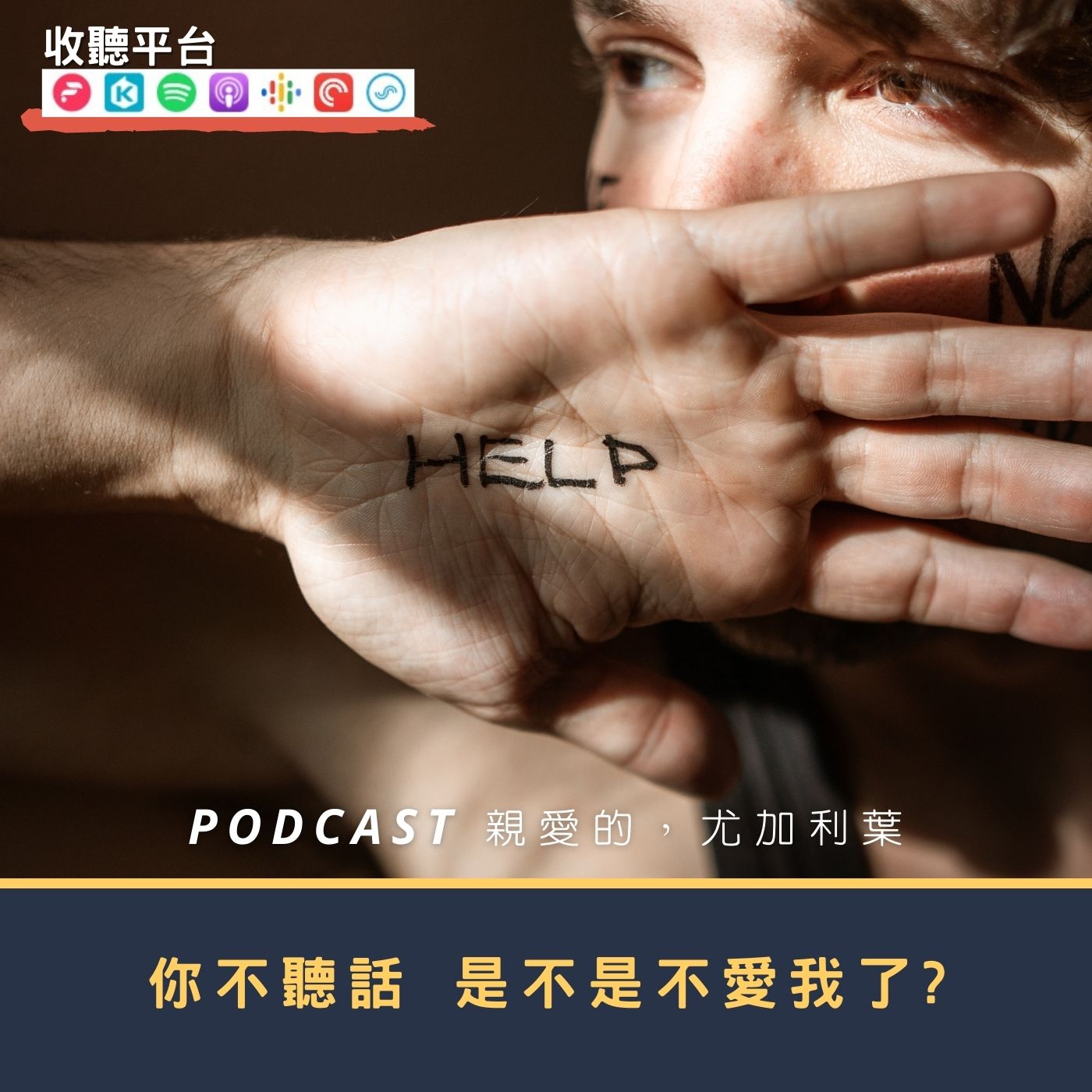 親愛的，尤加利葉