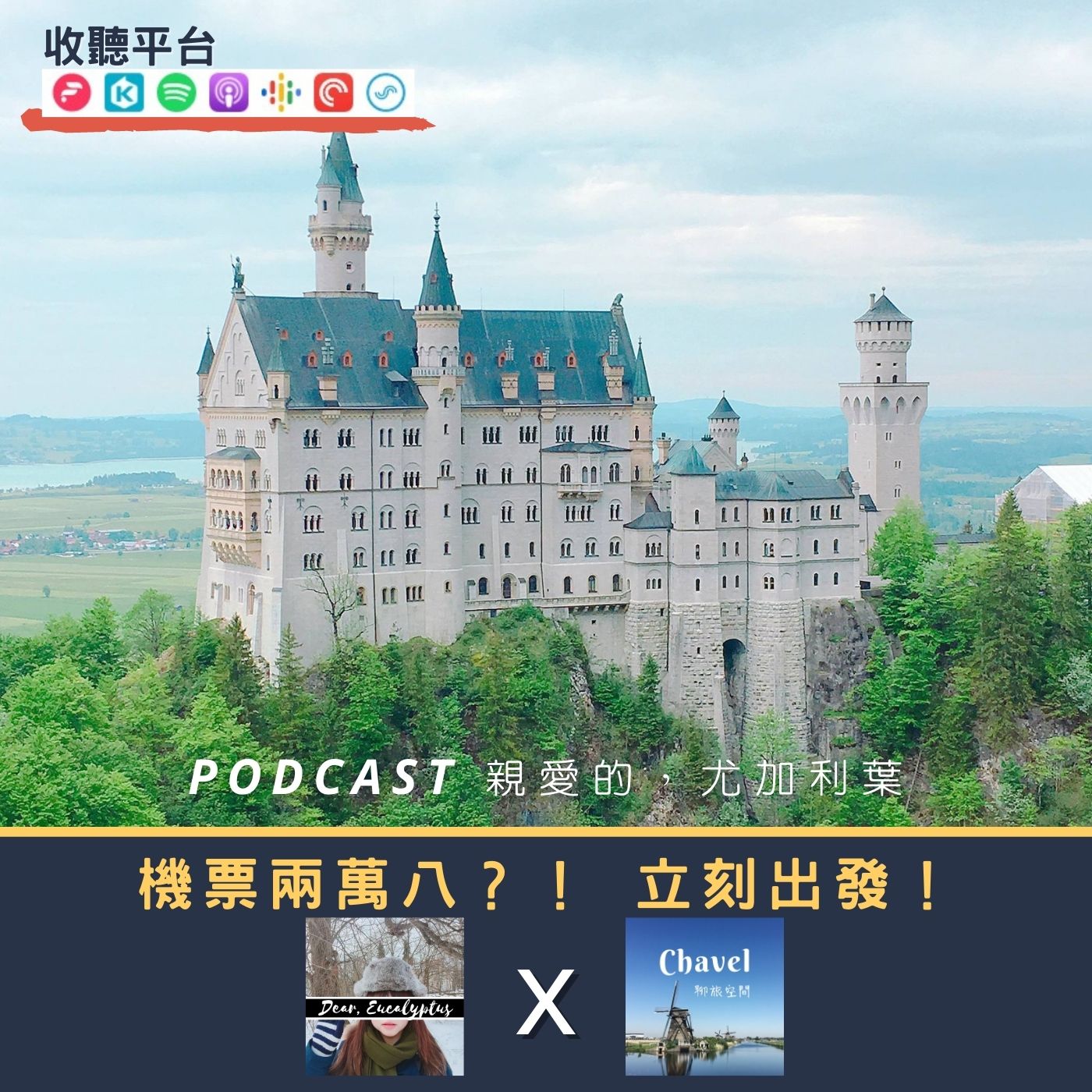 親愛的，尤加利葉
