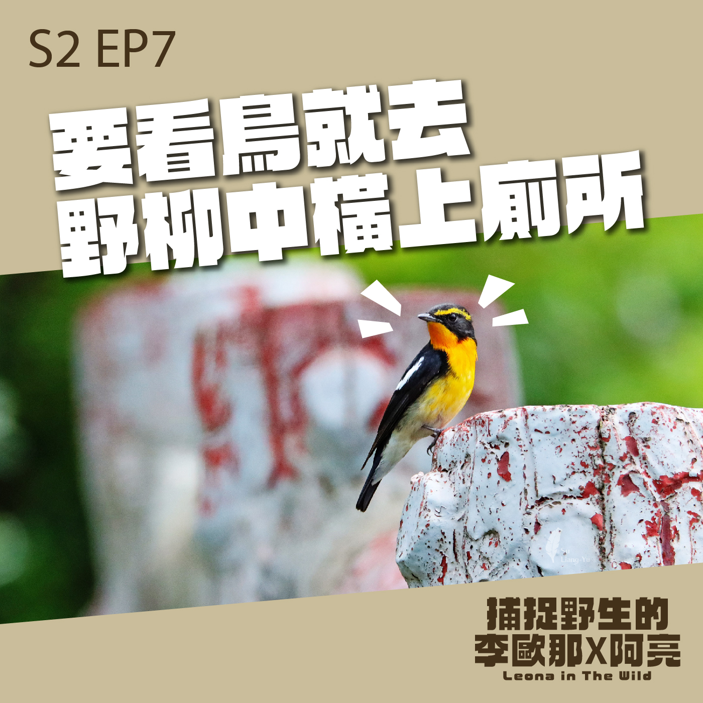 S2 EP.7 要看鳥就去野柳中橫上廁所