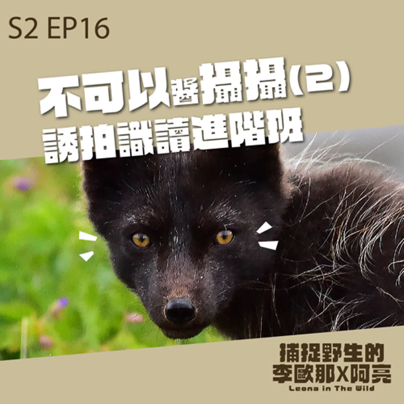 S2 EP16. 不可以醬攝攝(2) 誘拍識讀進階班