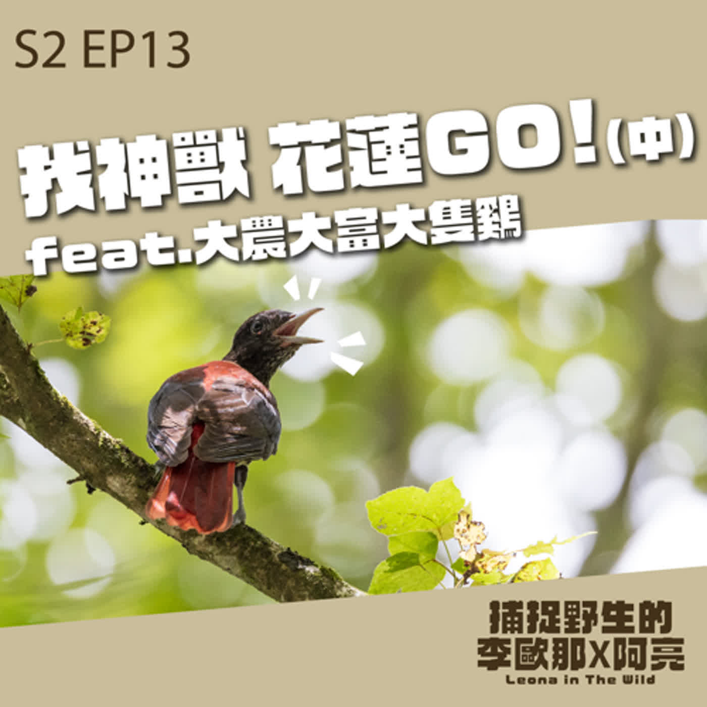 S2 EP.13 找神獸，花蓮GO! (中)Feat. 大農大富大隻雞