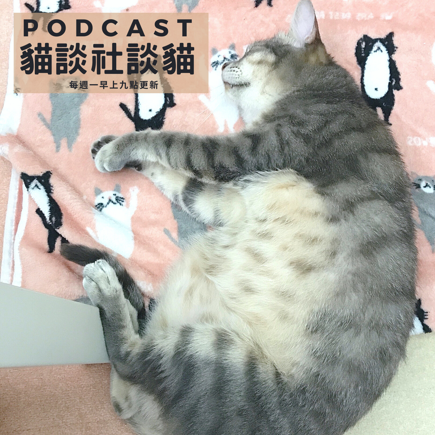 S3EP23 那些貓咪改變我的事