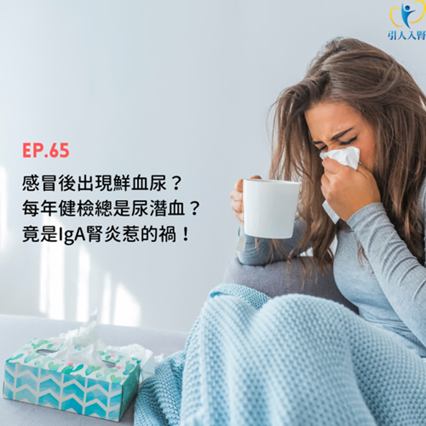 引人入腎