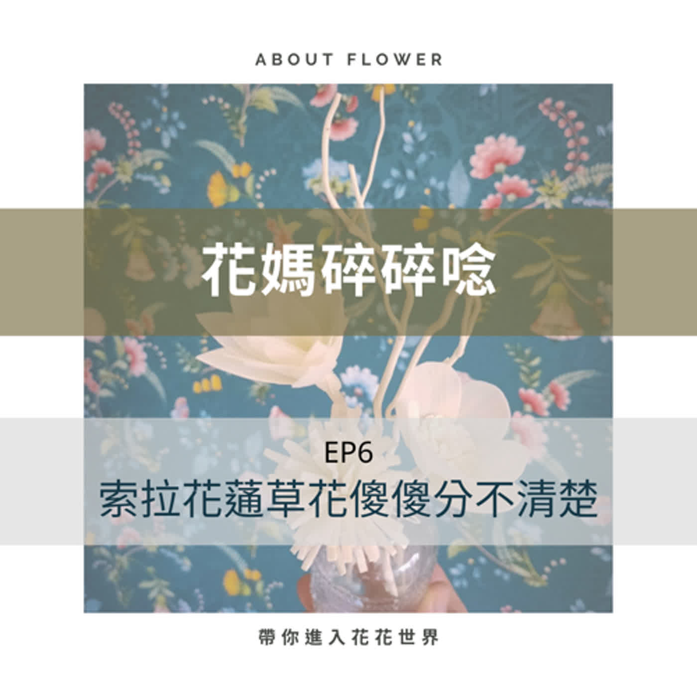 索拉花&蓪草花傻傻分不清楚