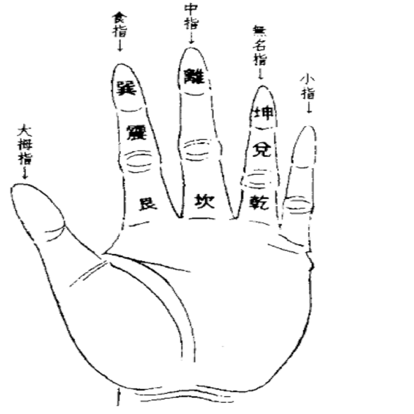 EP∣75【這集有點長】我喝過多多綠，那什麼是因果律？怎麼過日子？隨心所欲！