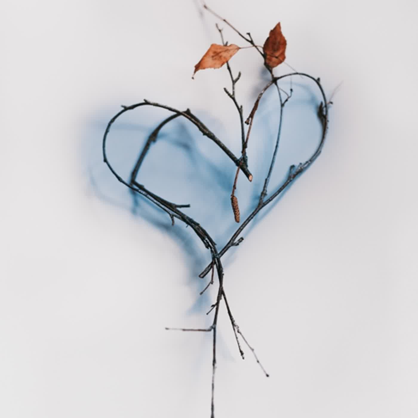 EP∣ 230【莊子】誰偷了你的心？