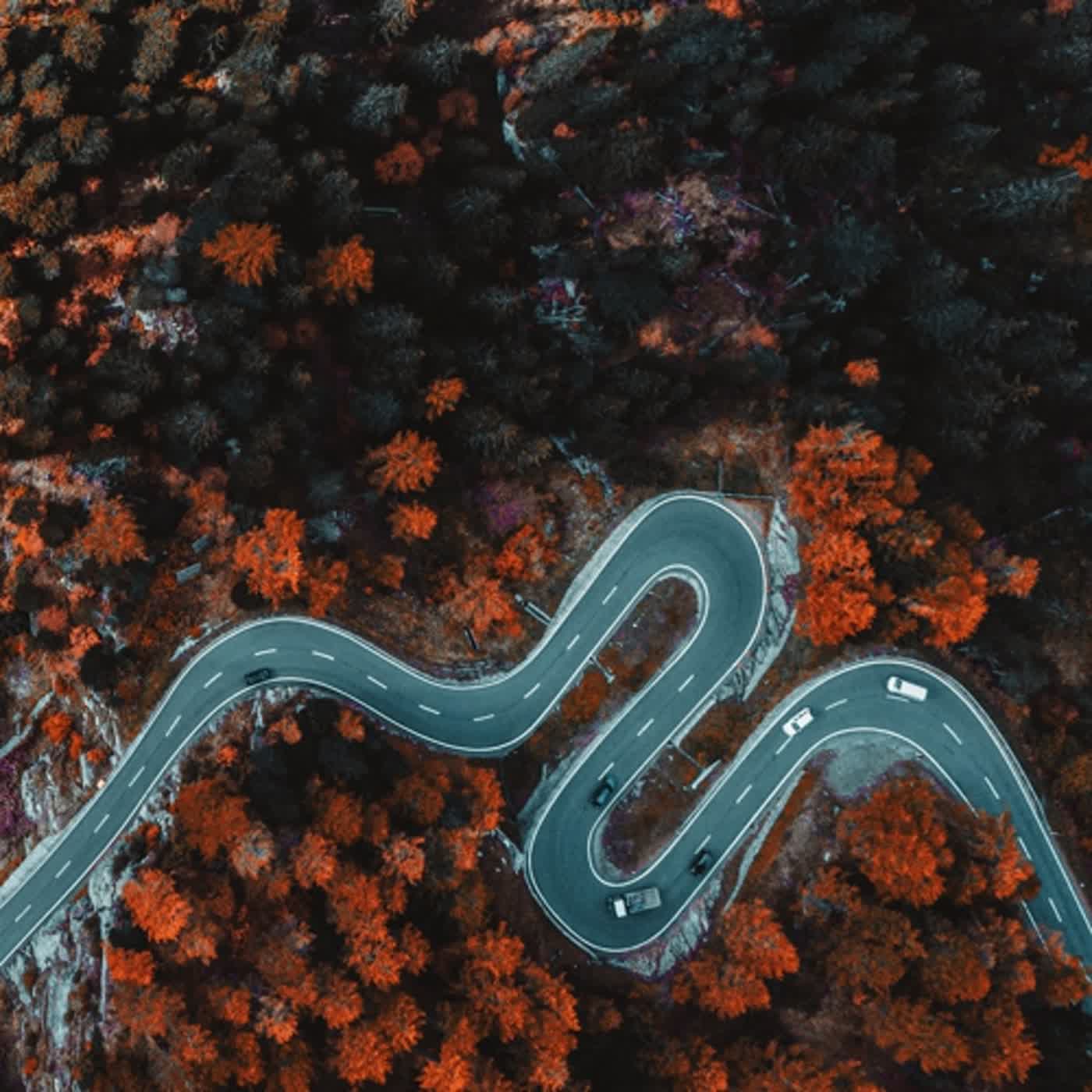 EP 256 左右遊戲3-歡迎光臨歡樂鎮 🏠🏠🏠