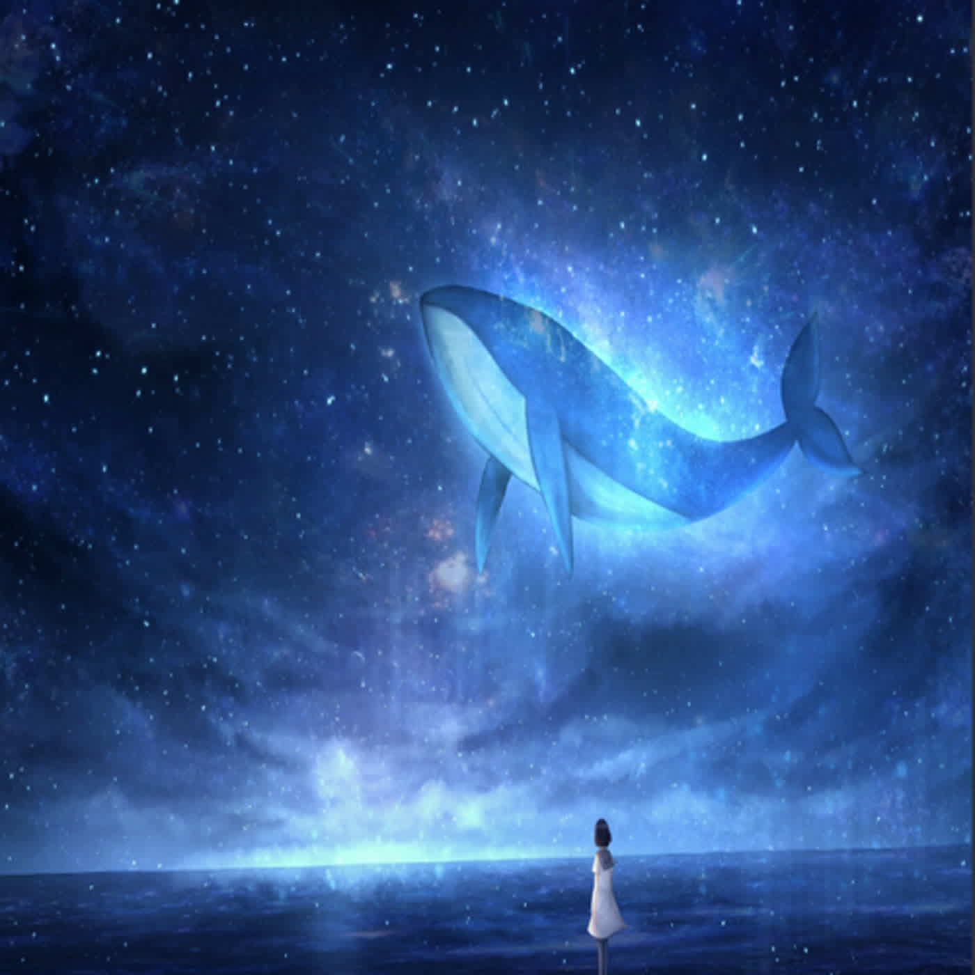 EP ∣ 209【莊子】魚🕊︎和鳥的優美故事...莊子想要講什麼⁉︎---第2集