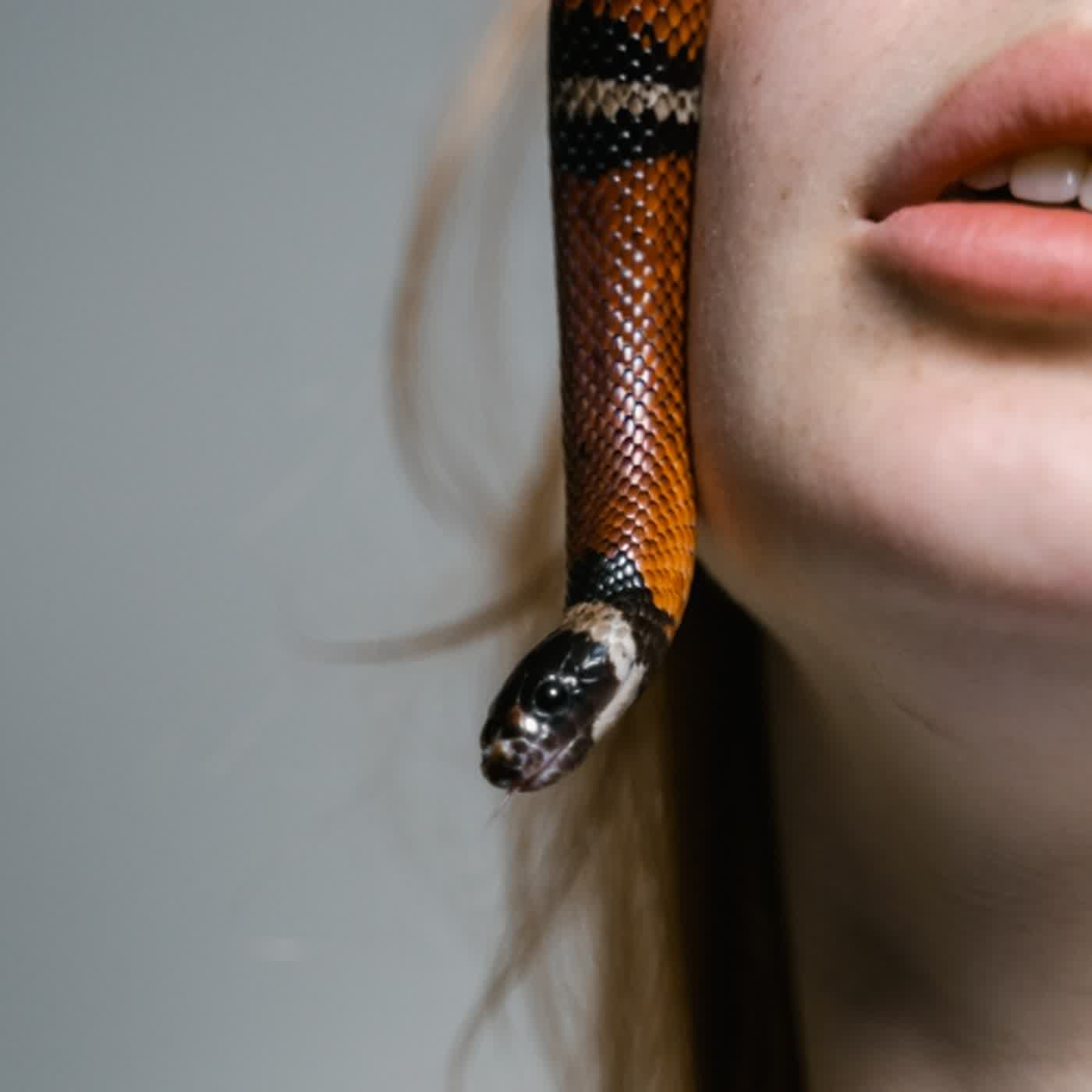 EP∣ 229【都市傳說】嚇小孩，也能嚇大人的都市傳說😱