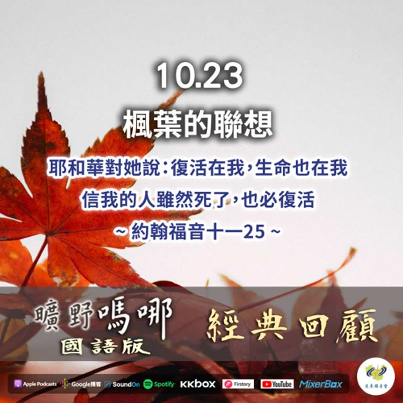2022-10-23 曠野嗎哪-楓葉的聯想（經典回顧）
