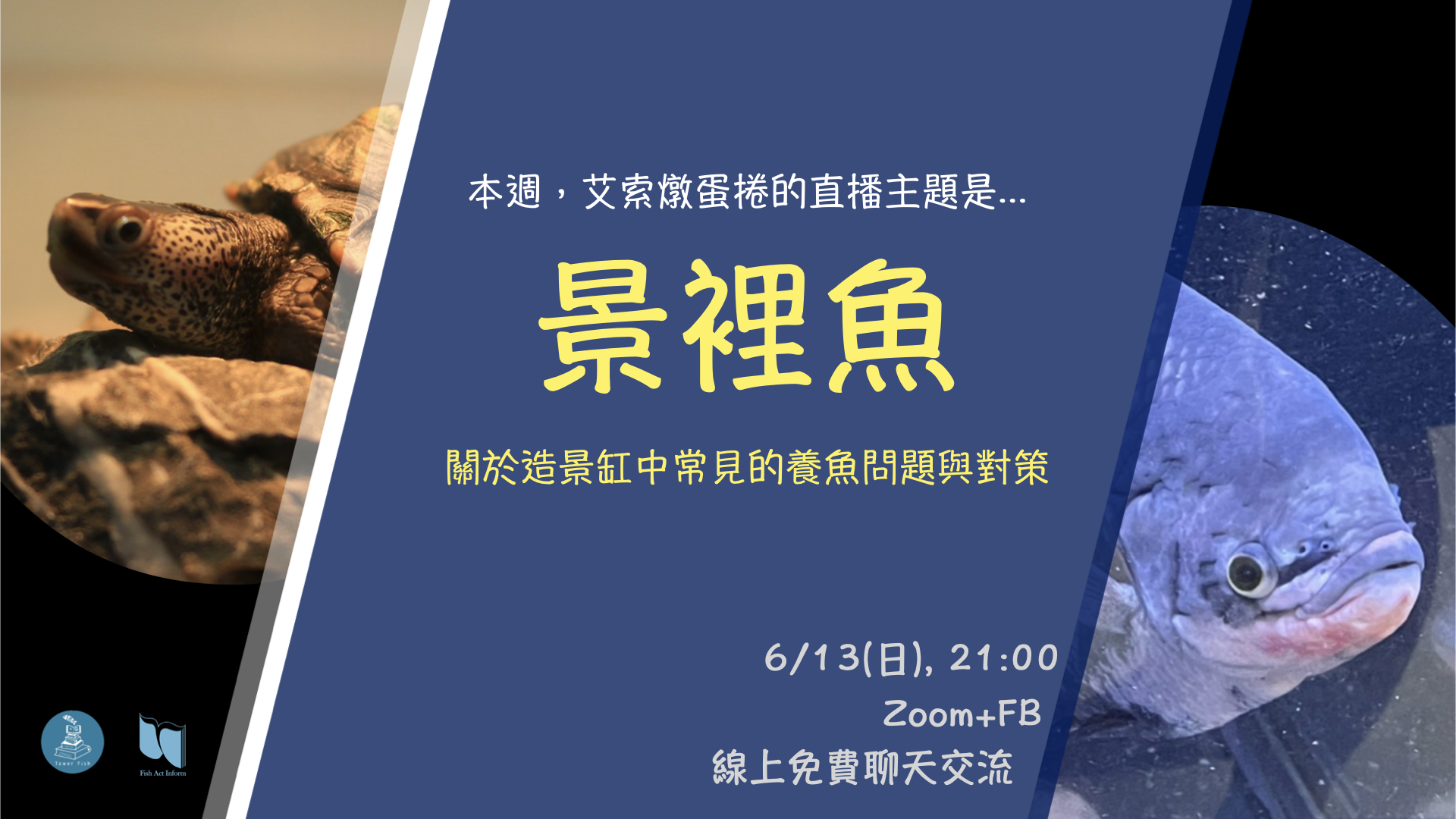 S1EP4. ft. 塔魚手札-景裡魚-關於造景中常見的養魚問題