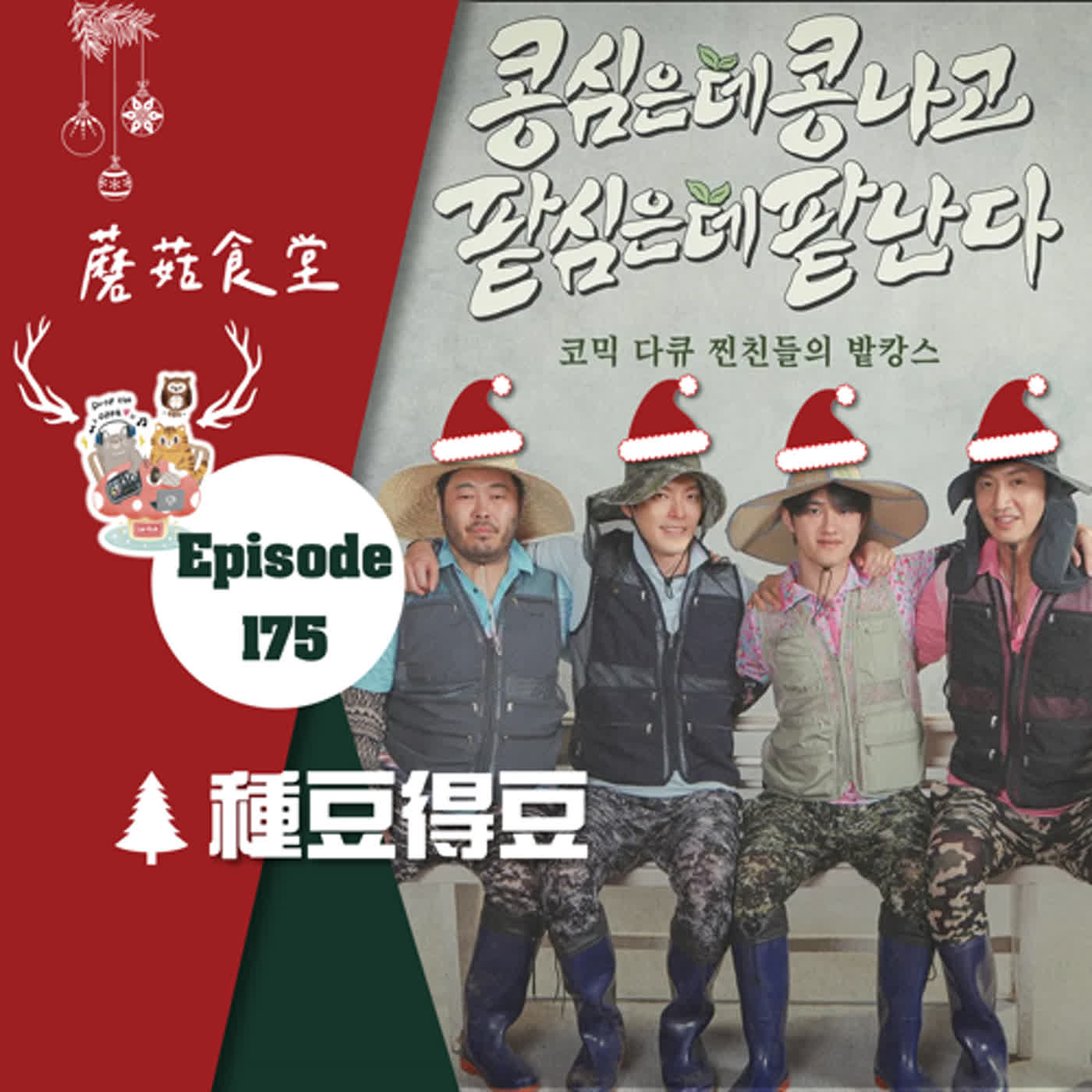 cover of episode Ep175：(韓綜) 種豆得豆 | 這些那些羅PD的節目