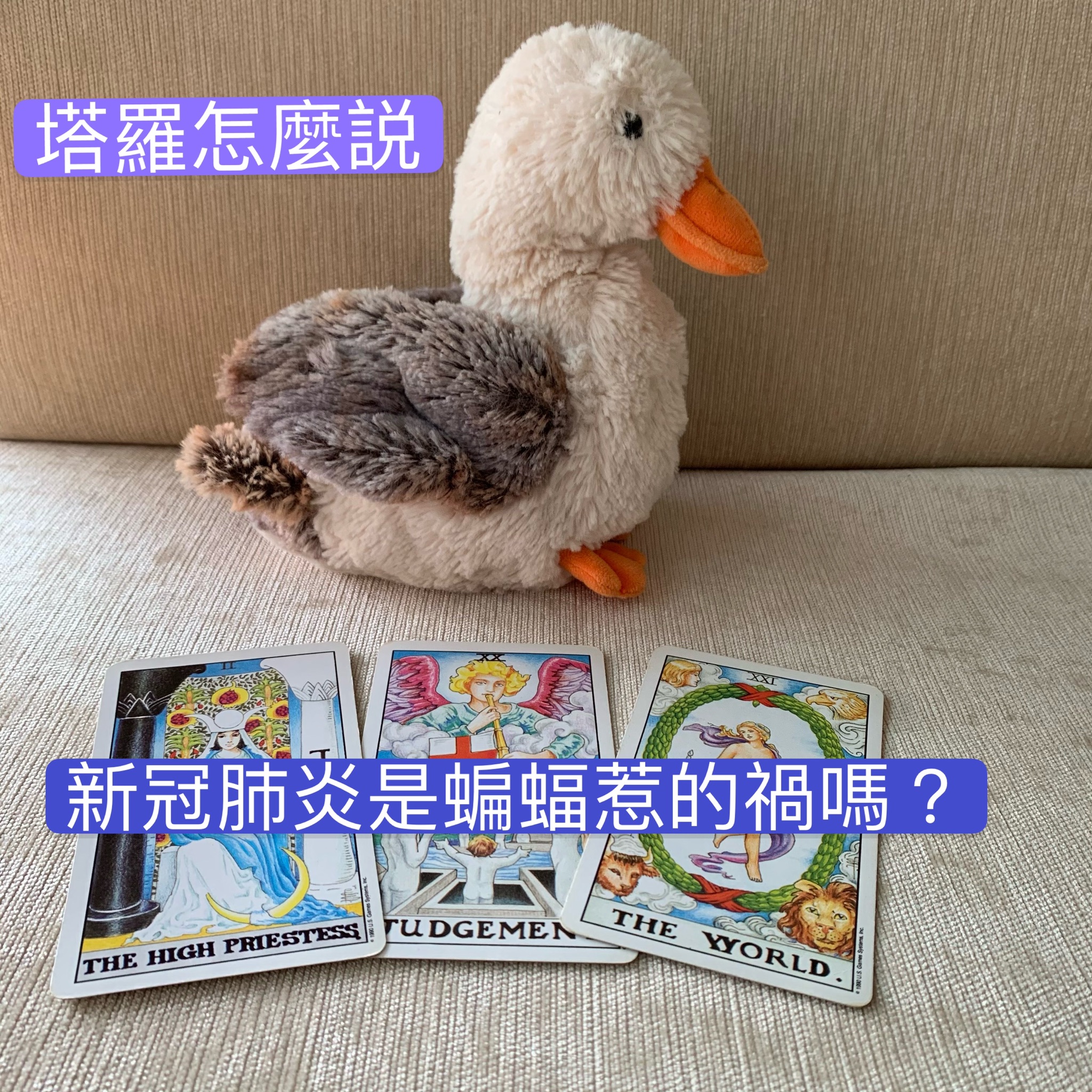 談談新冠病毒與蝙蝠的關係,蝙蝠真的是元凶嗎???
