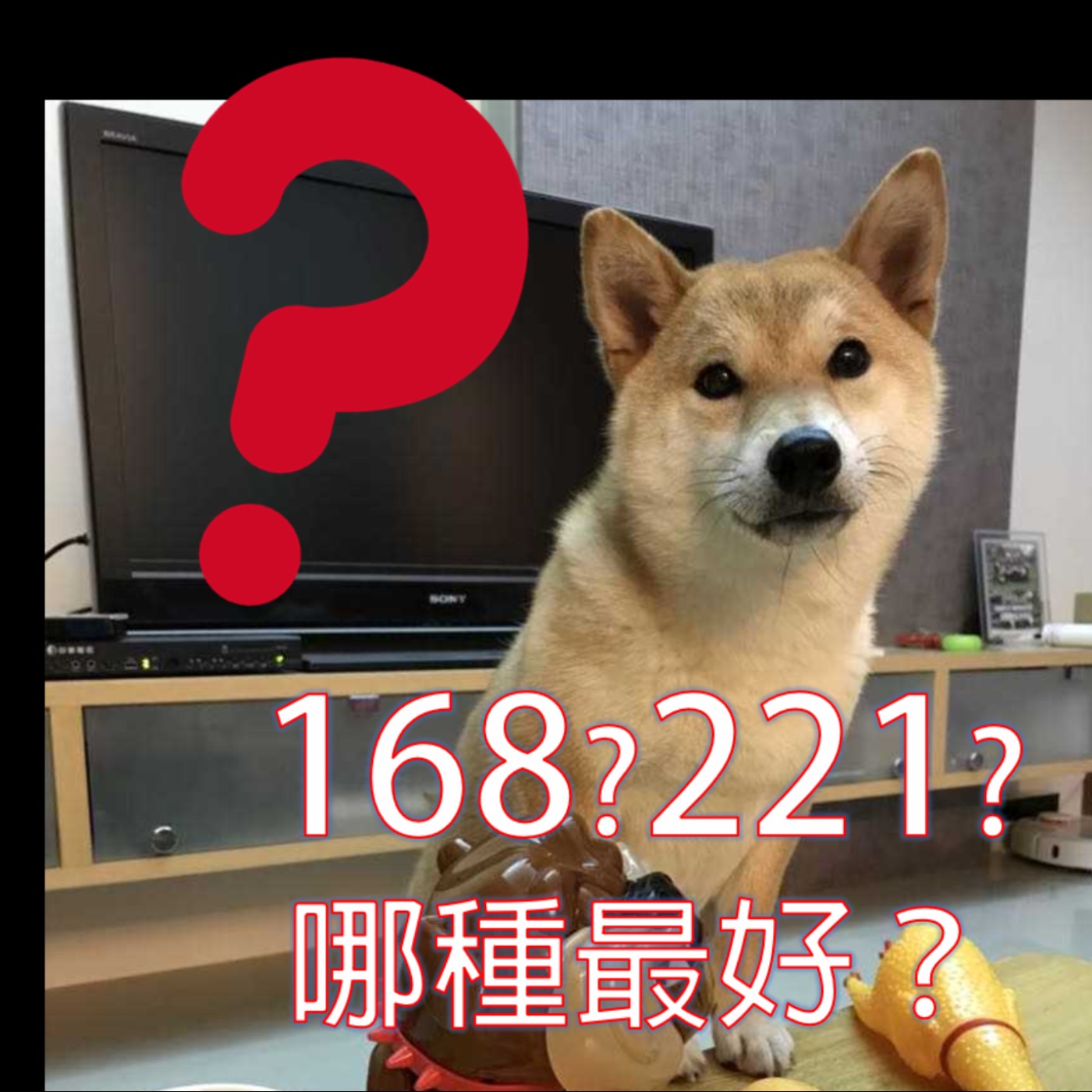名醫來講醣-體重控制要168?211? 哪個最好 ep9
