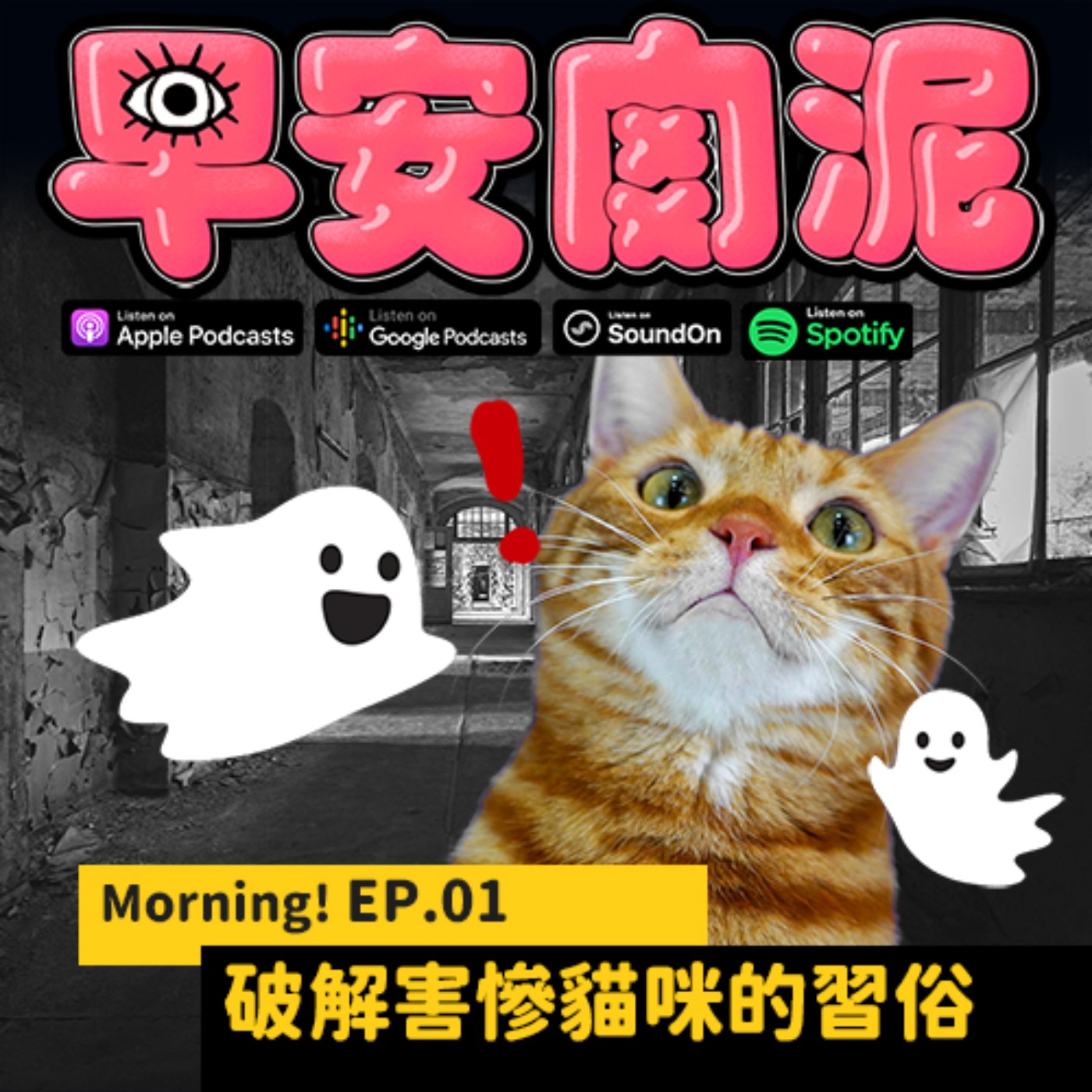 Morning! EP.01 ┃ 貓狗看的到鬼嗎?破解害慘貓咪的習俗!聊聊飼主面對寵物離世的課題