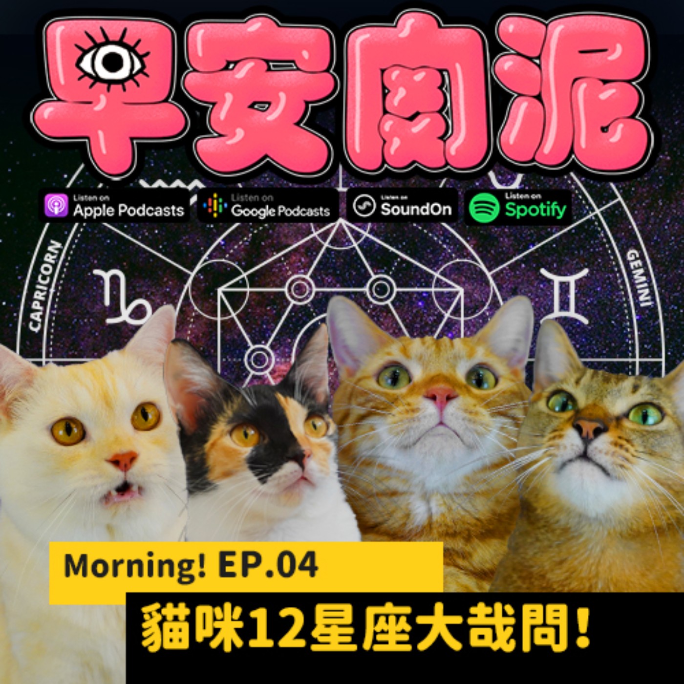 Morning! EP.04 ┃ 貓咪星座大哉問!用星座掌握和貓咪的相處模式吧
