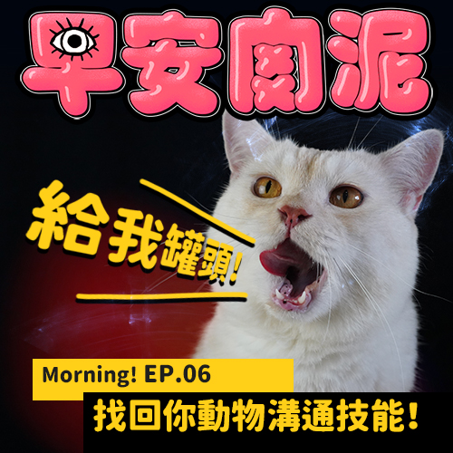 Morning! EP.06 ┃ 你也會動物溝通!找回這被遺忘的能力 探討動物意識