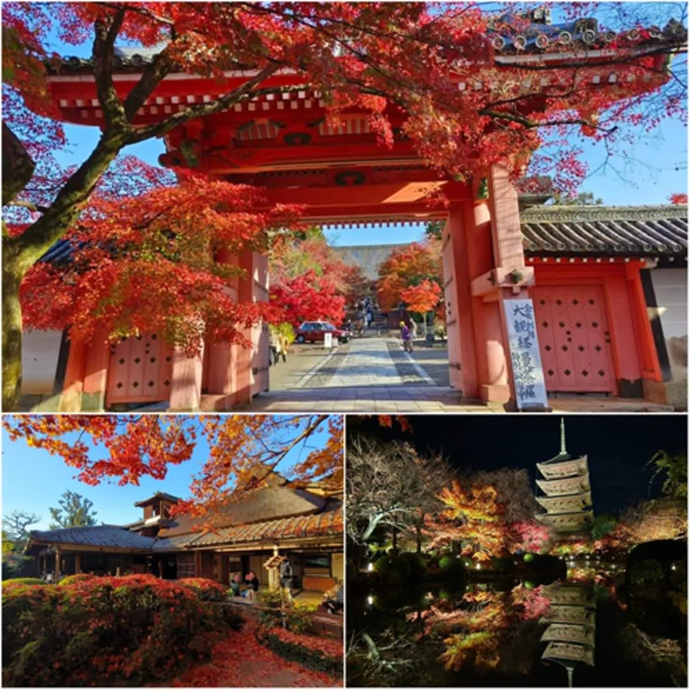林氏璧孔醫師的日本旅遊情報站