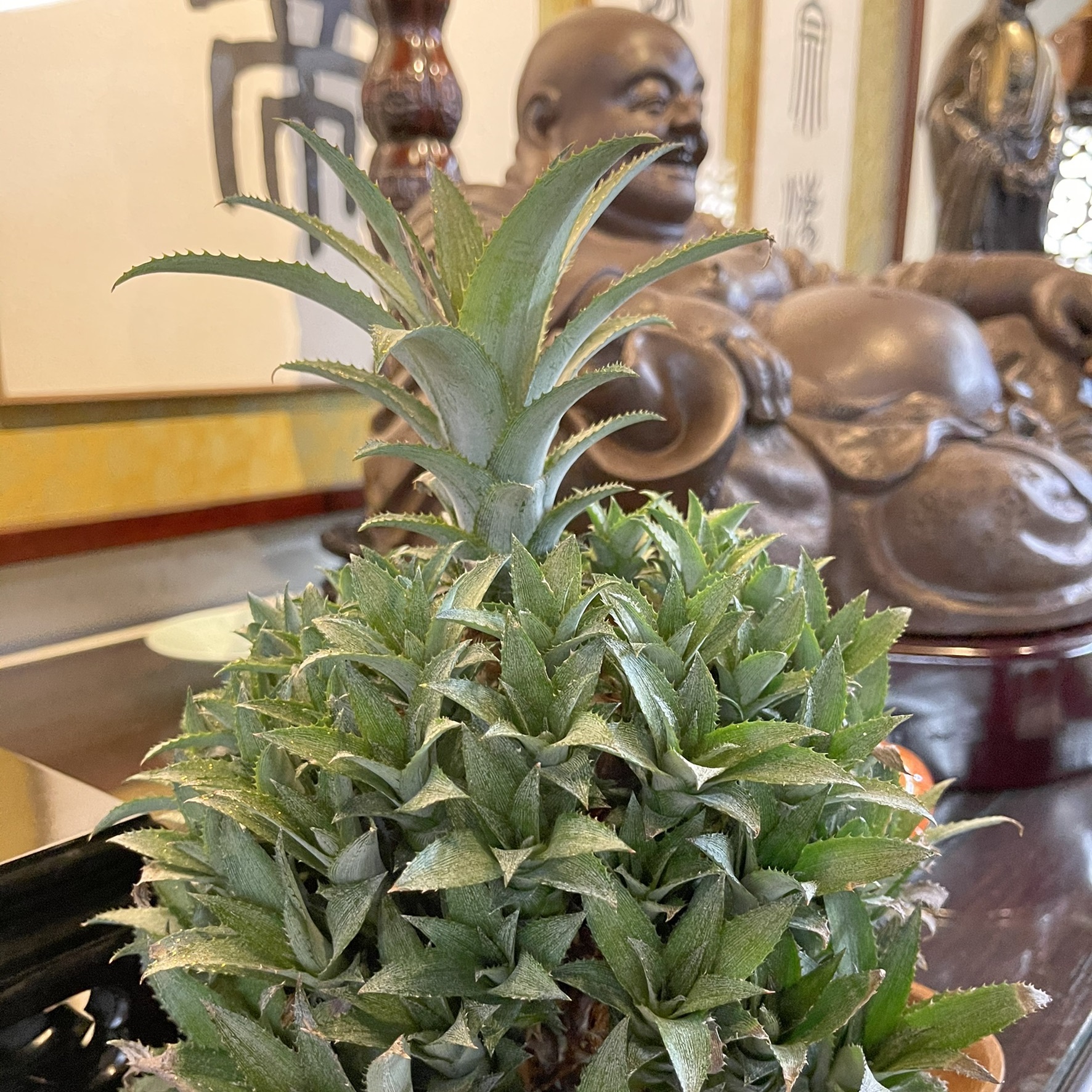 特輯!金剛經之回家的路