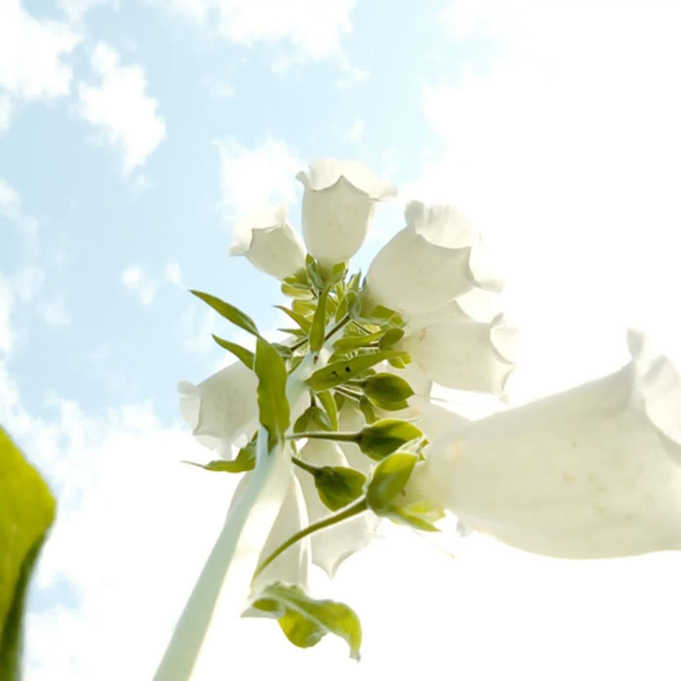 教育快充站 Education Snacks