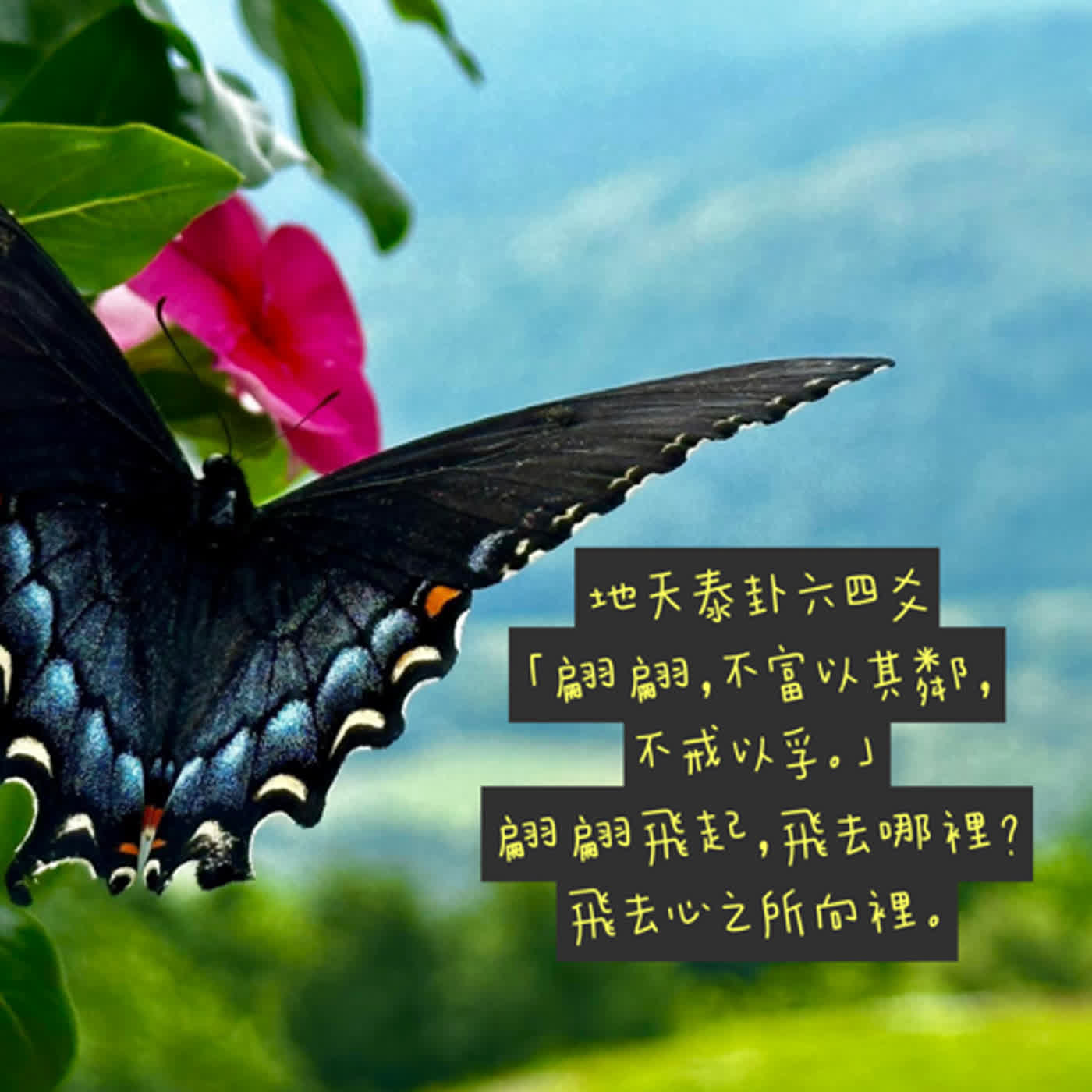 地天泰卦六四爻 「翩翩，不富以其鄰， 不戒以孚。」 翩翩飛起，飛去哪裡呢？ 飛去心之所向裡。