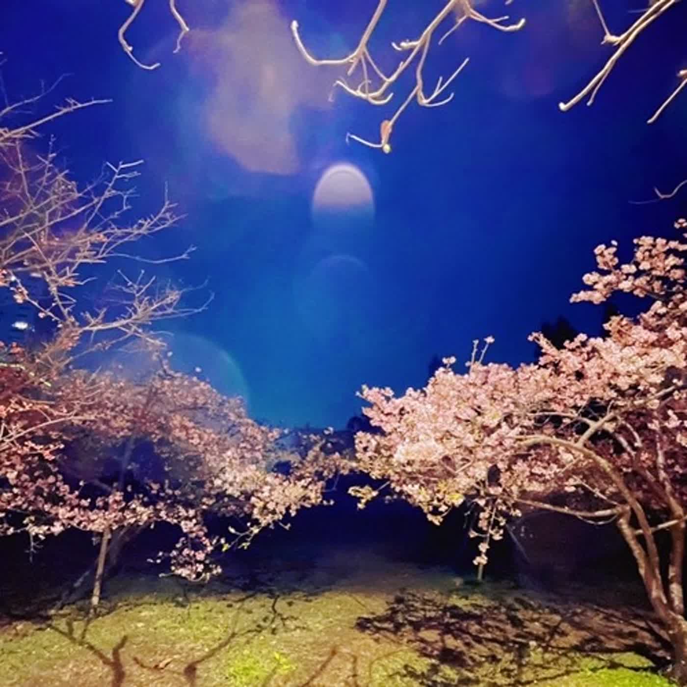 「7-1　ただいま」