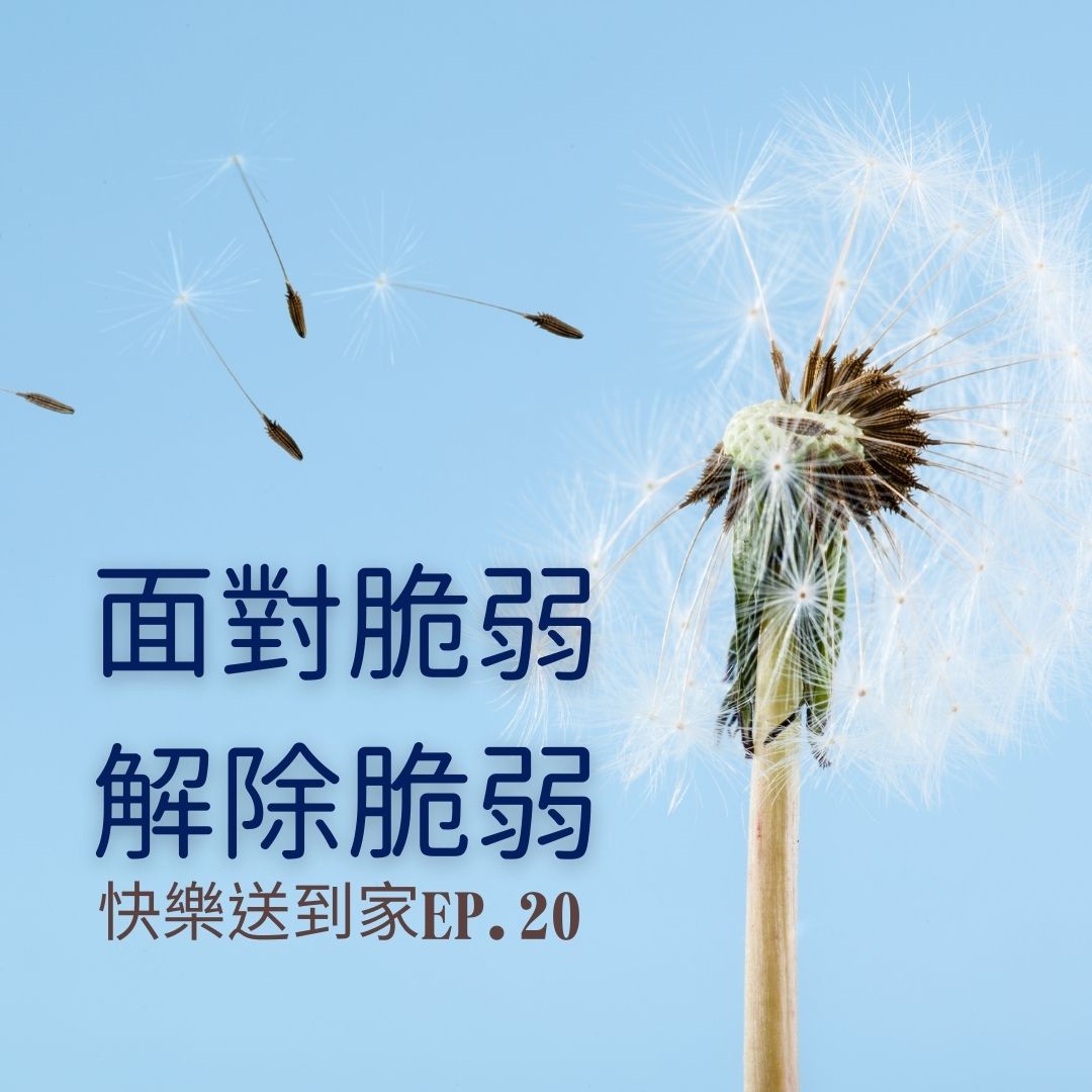 cover of episode EP.20 面對脆弱，解除脆弱。脆弱的力量第三集。