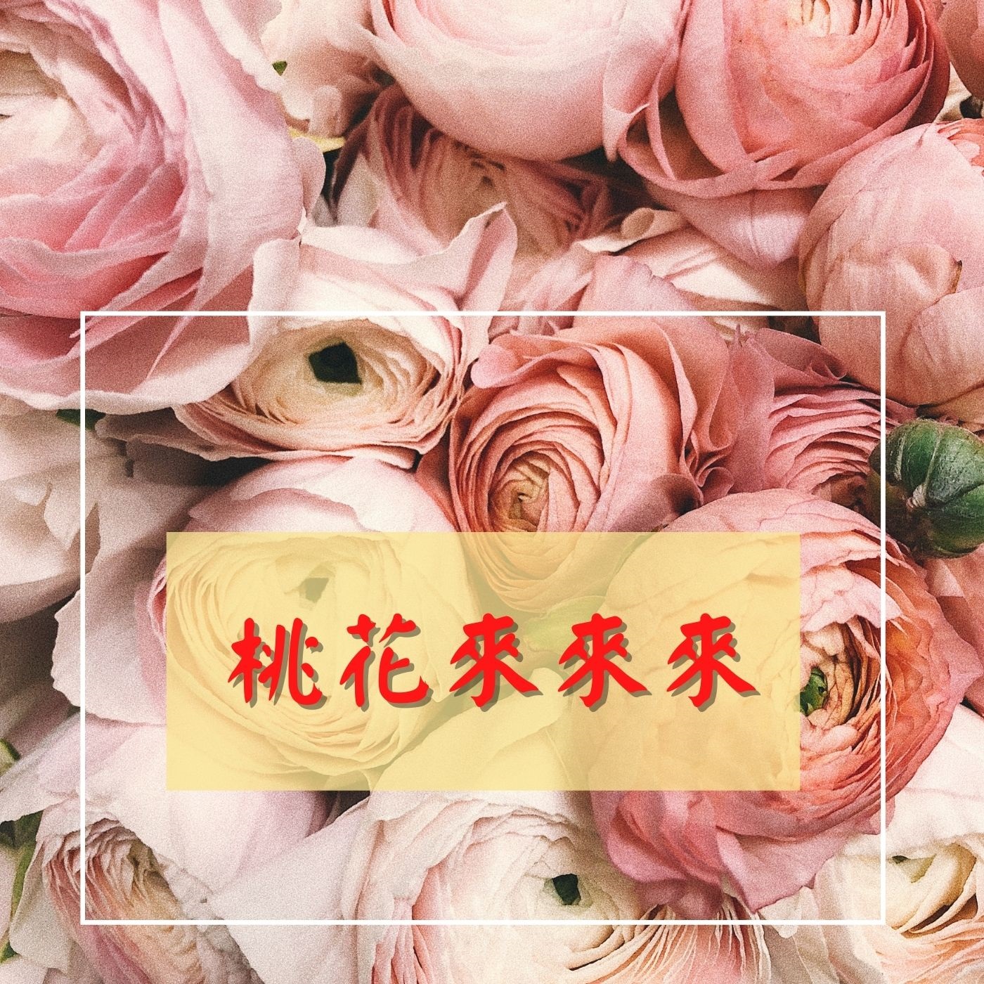 cover of episode 增旺桃花的方式，桃花來來來 | 短音頻