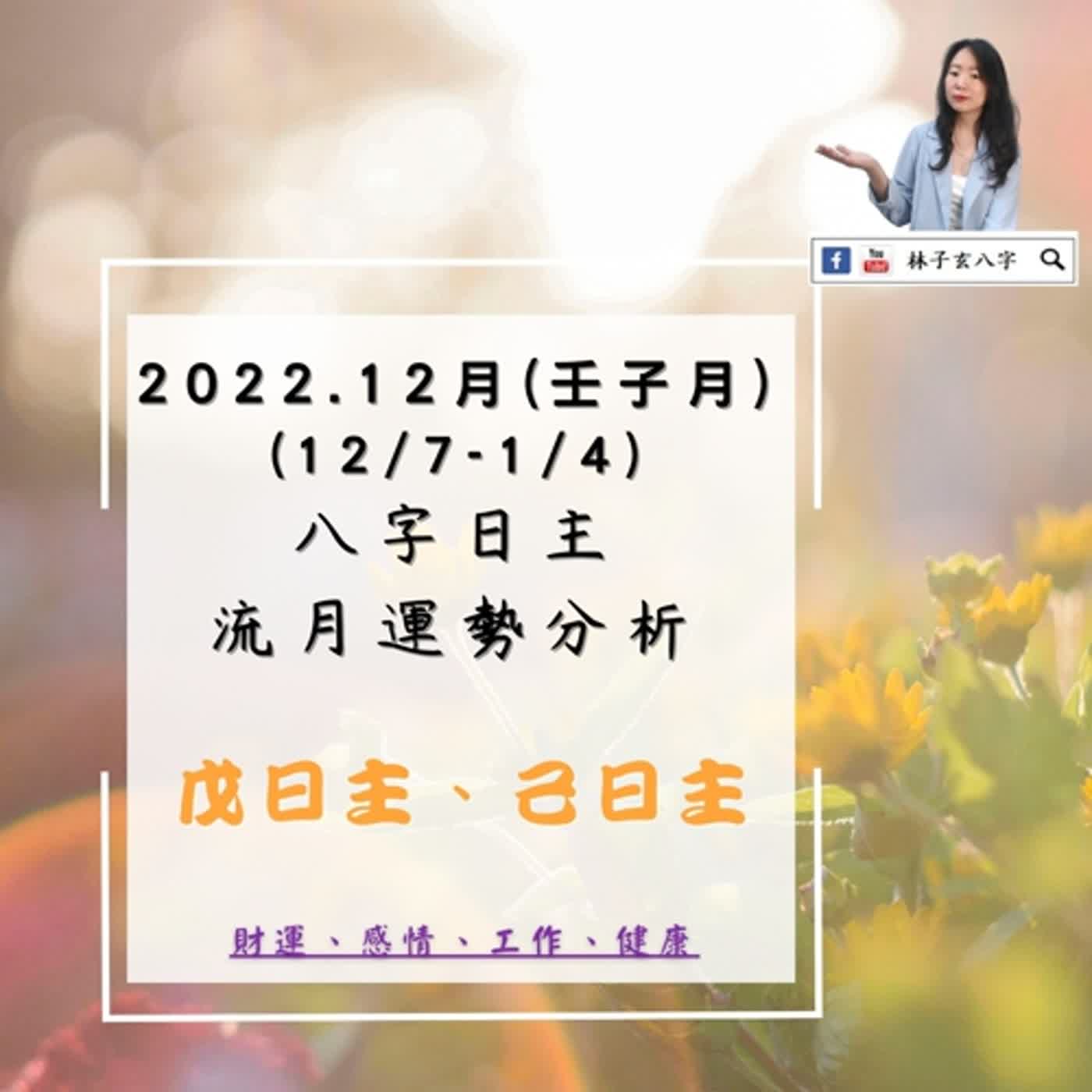 cover of episode 2022.12月壬寅年-壬子月 戊、己日主流月分析