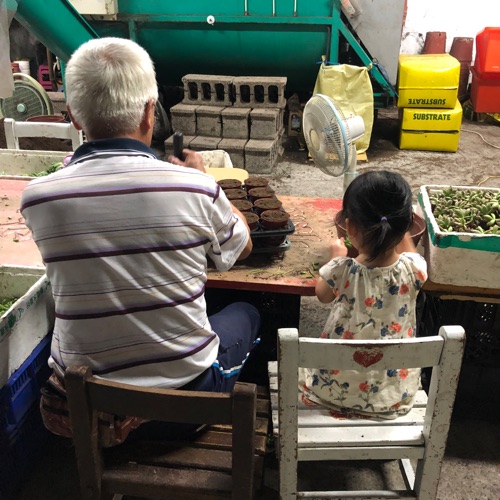 和Hedy一起聽媽媽說故事