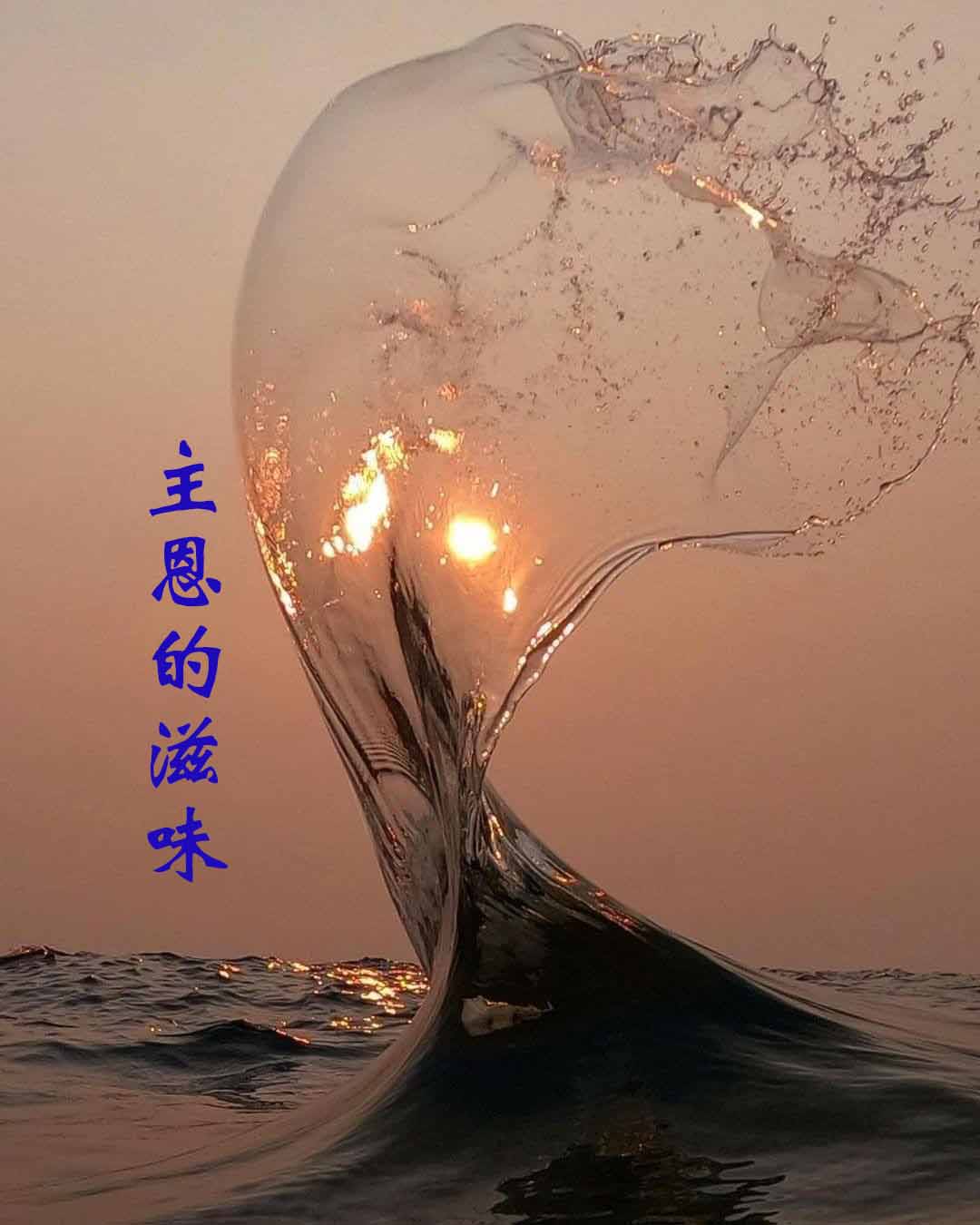 kymd016  主恩的滋味