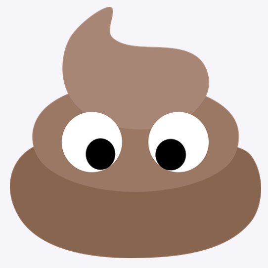 大便不擦屁股的人，下地獄吧！