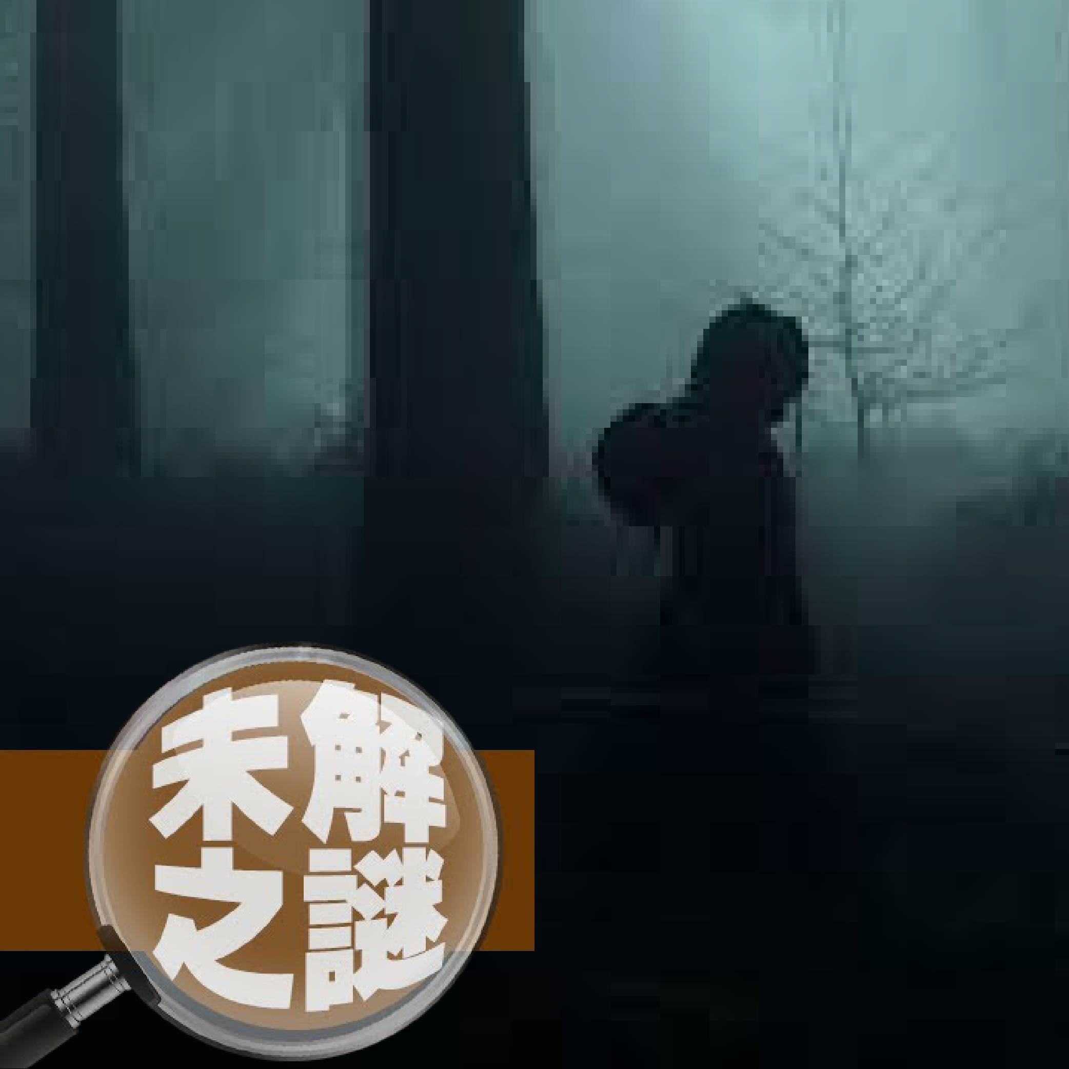 【未解之謎】四歲男童離奇失蹤，警方表示無能為力？！｜松岡伸矢神隱事件｜下水道先生