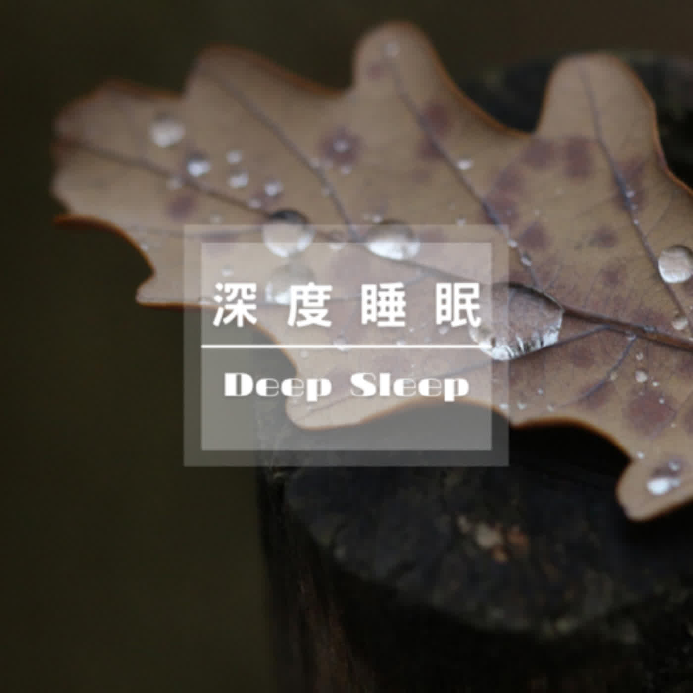 睡眠雨聲 睡眠白噪音