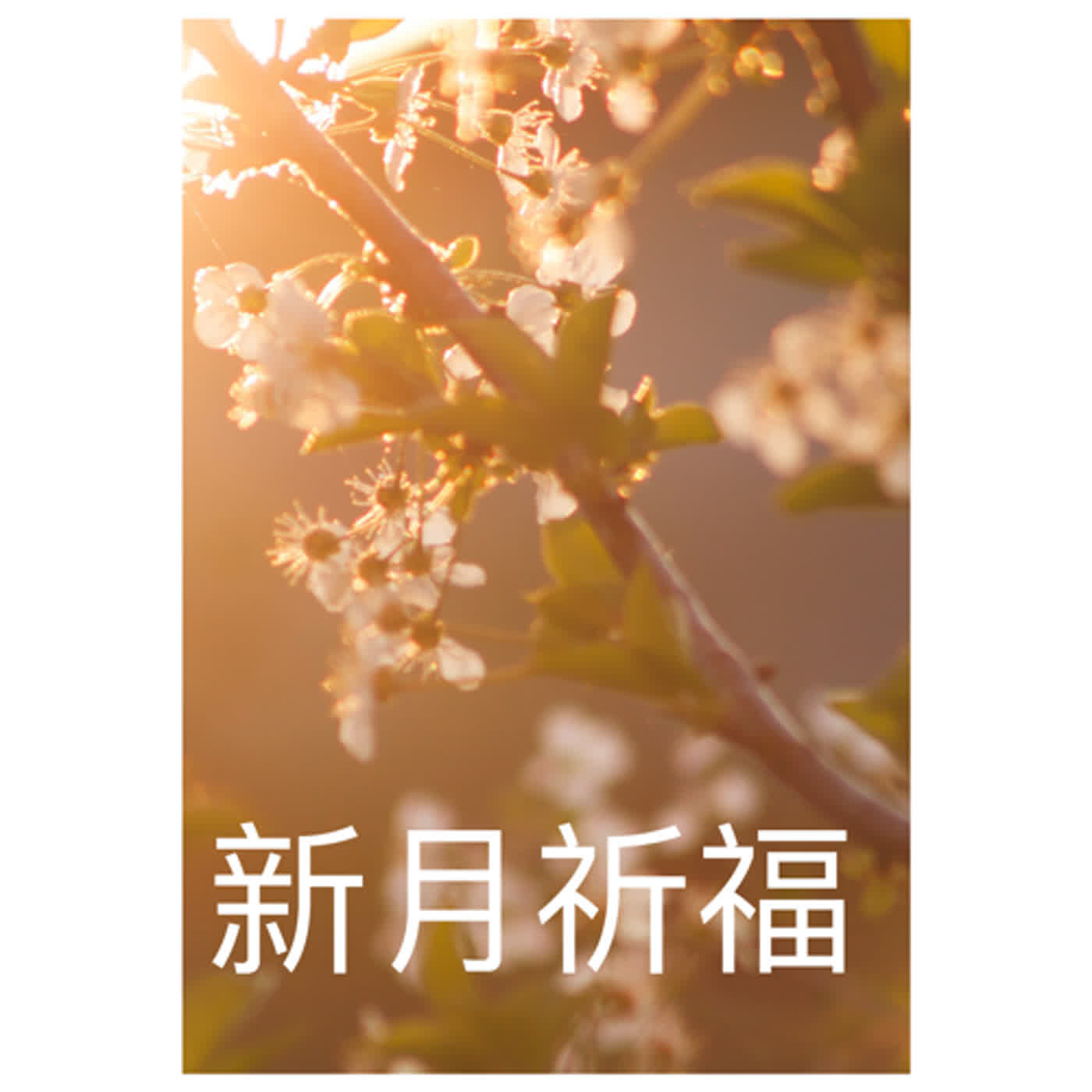 廣東話頌缽冥想療癒
