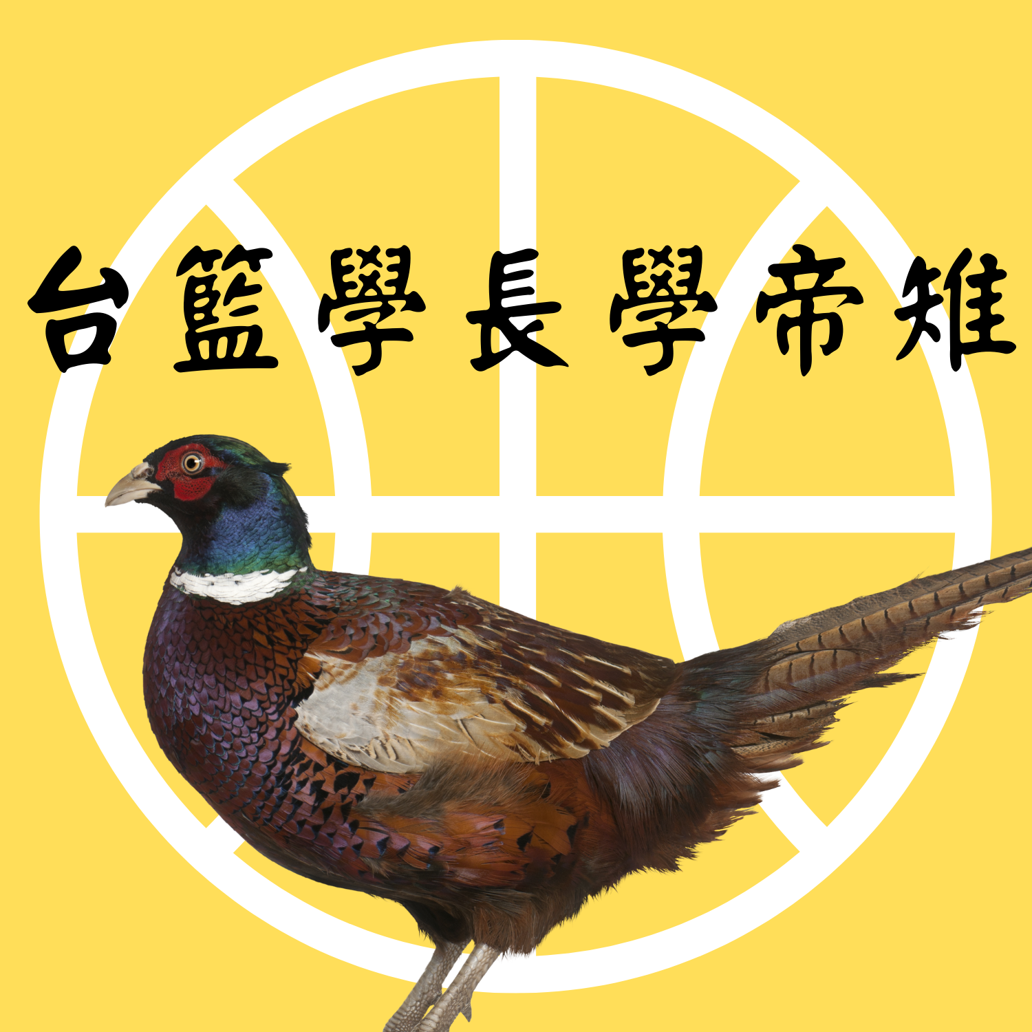 第8集 (沒有Tony 亂成一鍋粥) — 新北國王過年玩太多國王遊戲？？麥一節？里金斯開箱！！鋼鐵人凶多吉少！？台灣LBJ歸位！前NBA狀元準備好了沒？？ft. 新竹運彩分析師Sam，代班主持人Jacky
