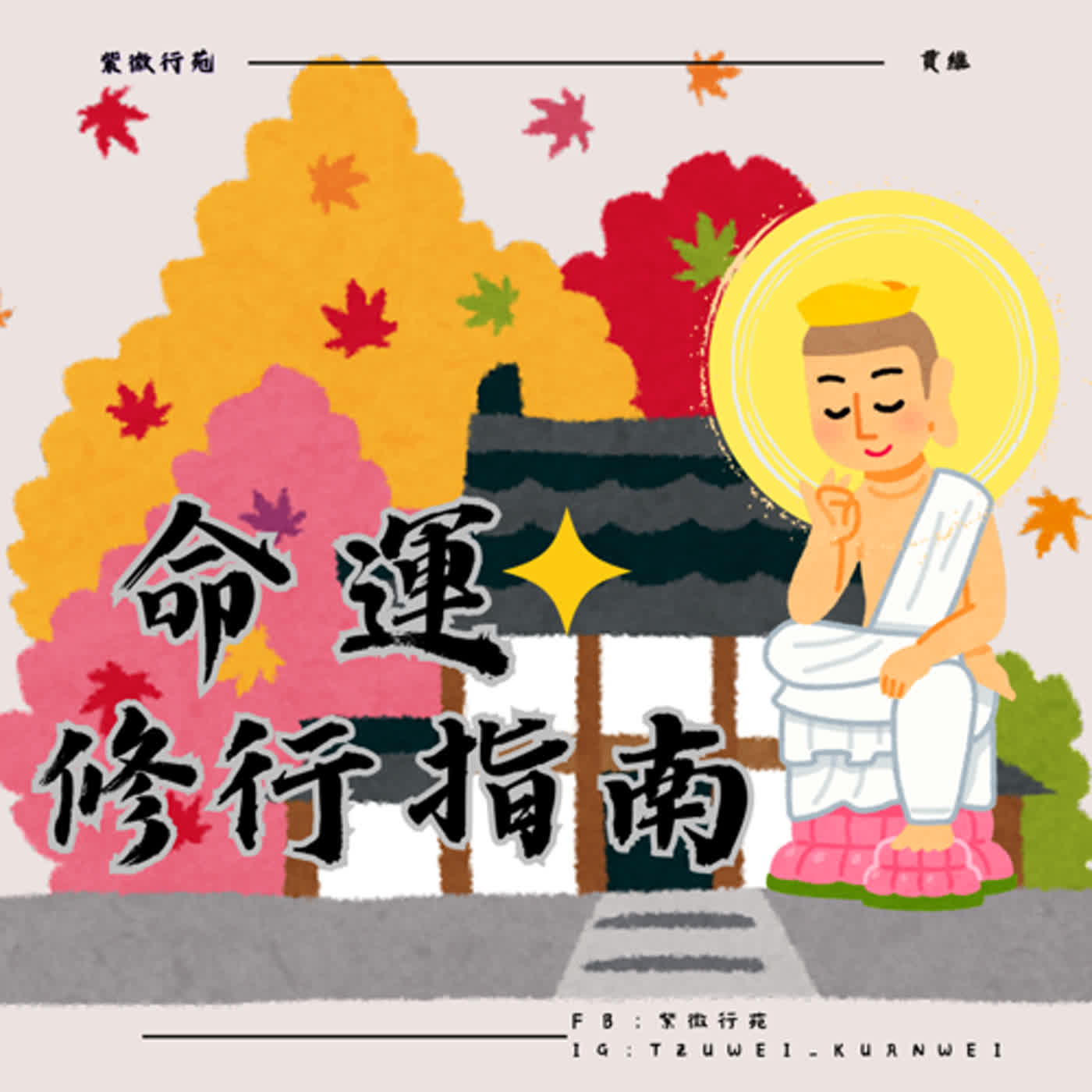 星曜坐命通論21-天相獨坐命宮的3種命盤(遷移宮坐紫微破軍、武曲破軍或廉貞破軍)