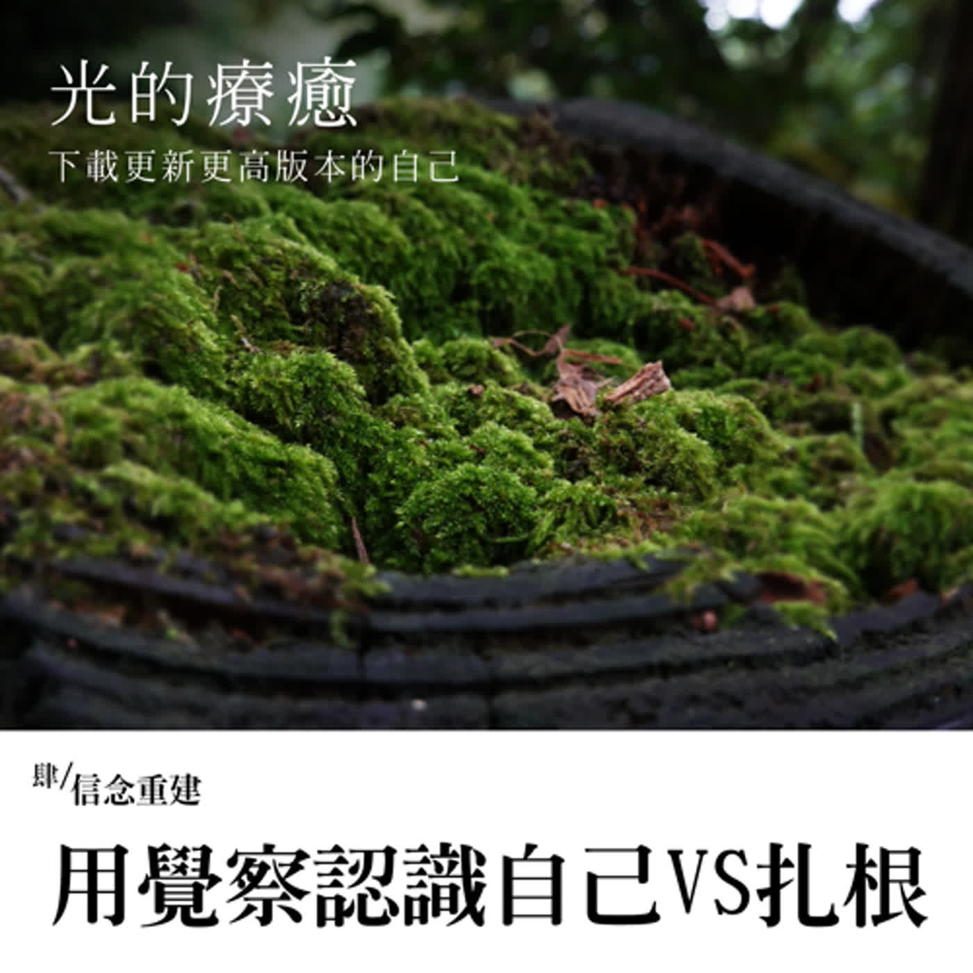 EP039【光的療癒】肆之21-22：用覺察重新認識自己及一切都是扎根