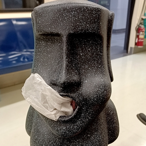 嘲笑第三劑莫德納