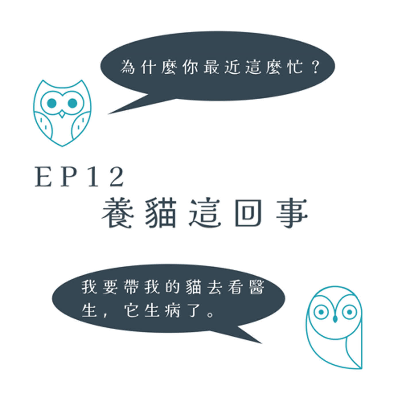 EP12 - 養貓這回事