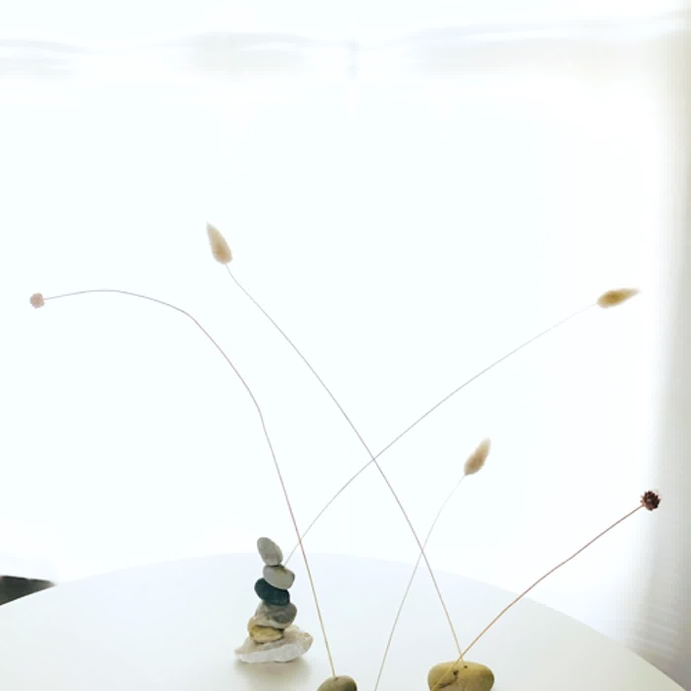 cover of episode 如果时光可以