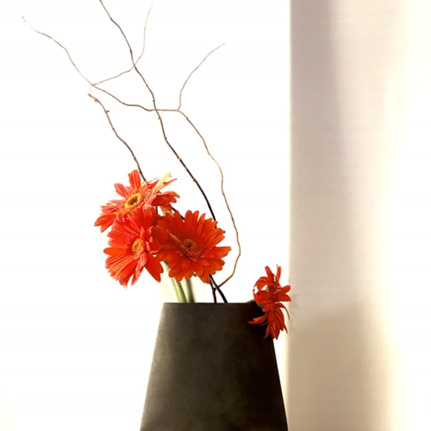 cover of episode 新年好呀