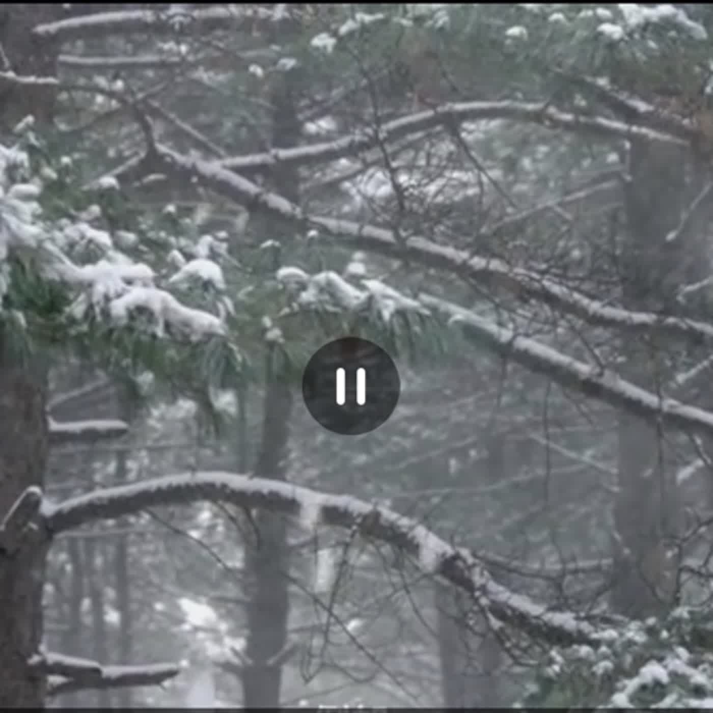 cover of episode 冬天的故事