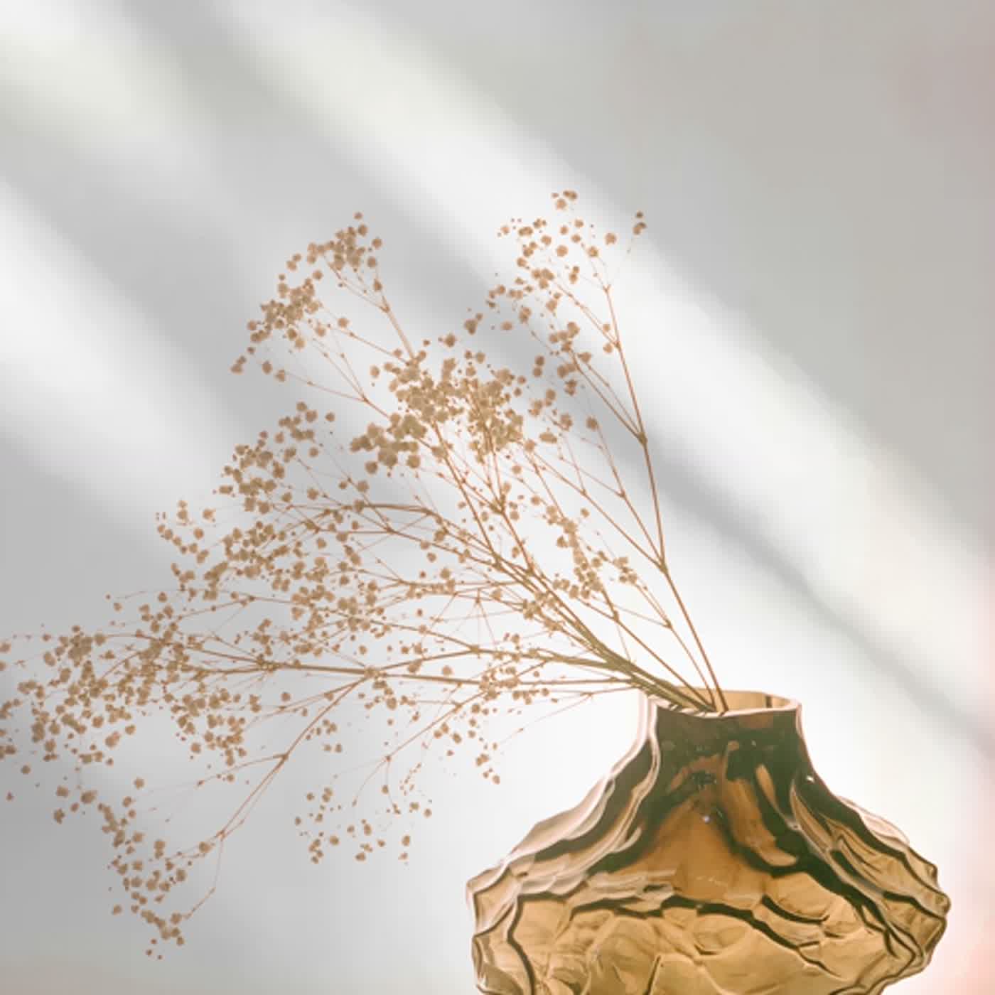 cover of episode 任何时候都不晚