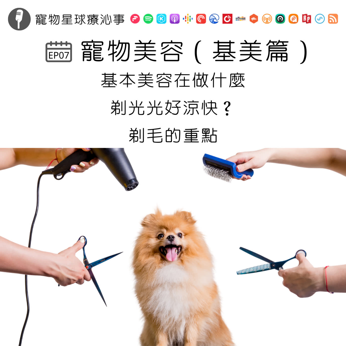 EP07.寵物美容(基美篇)