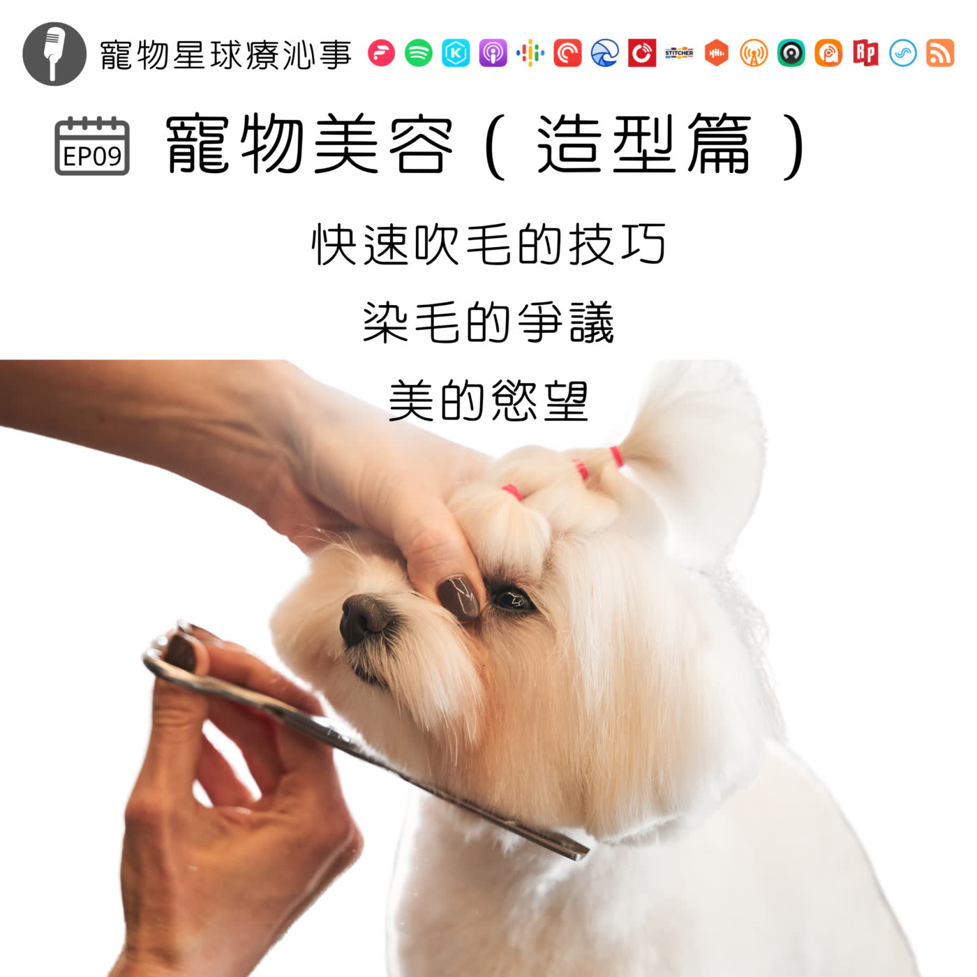 EP09.寵物美容(造型篇)