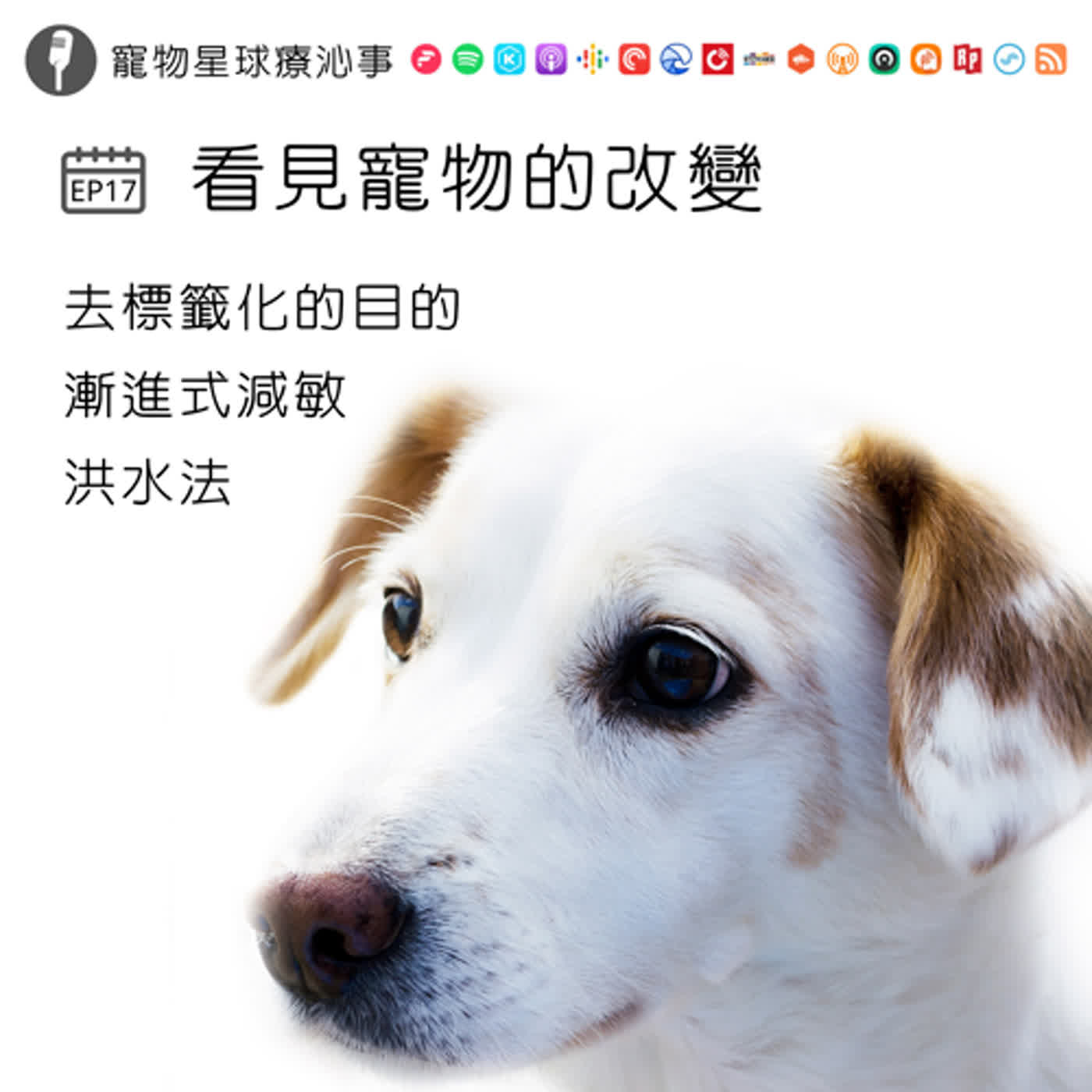 EP17.看見寵物的改變
